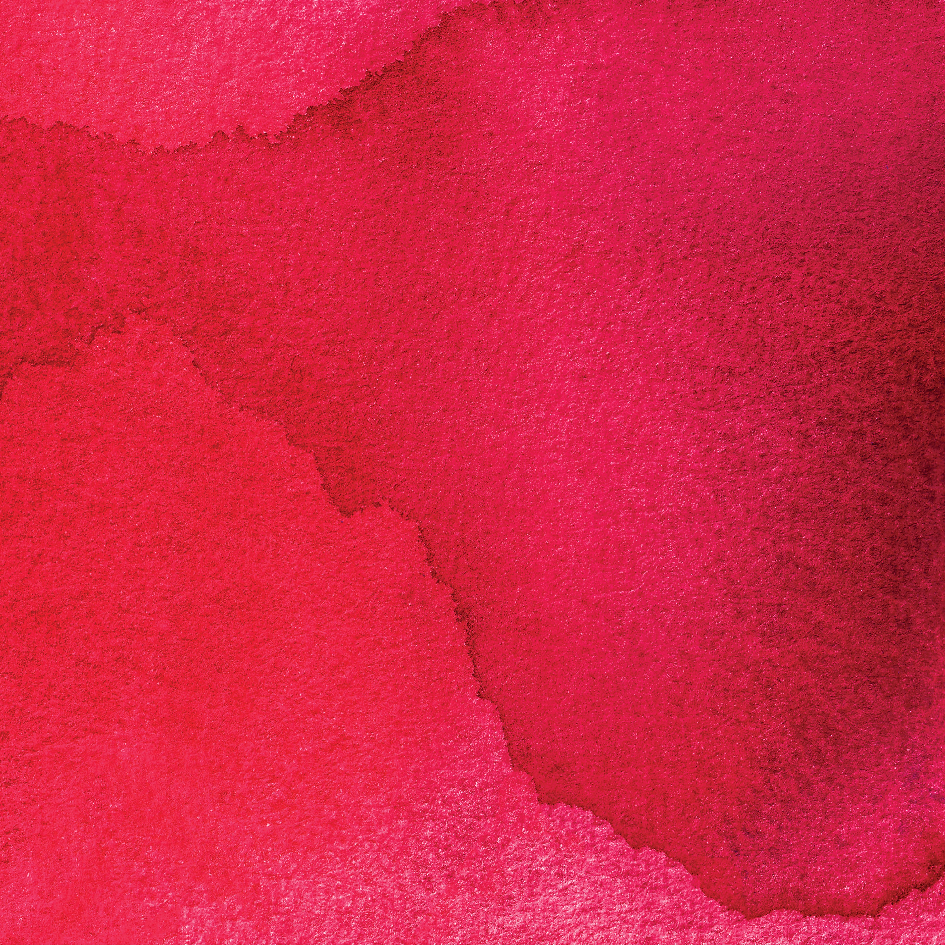 Speedball&#xAE; 1oz. India Ink