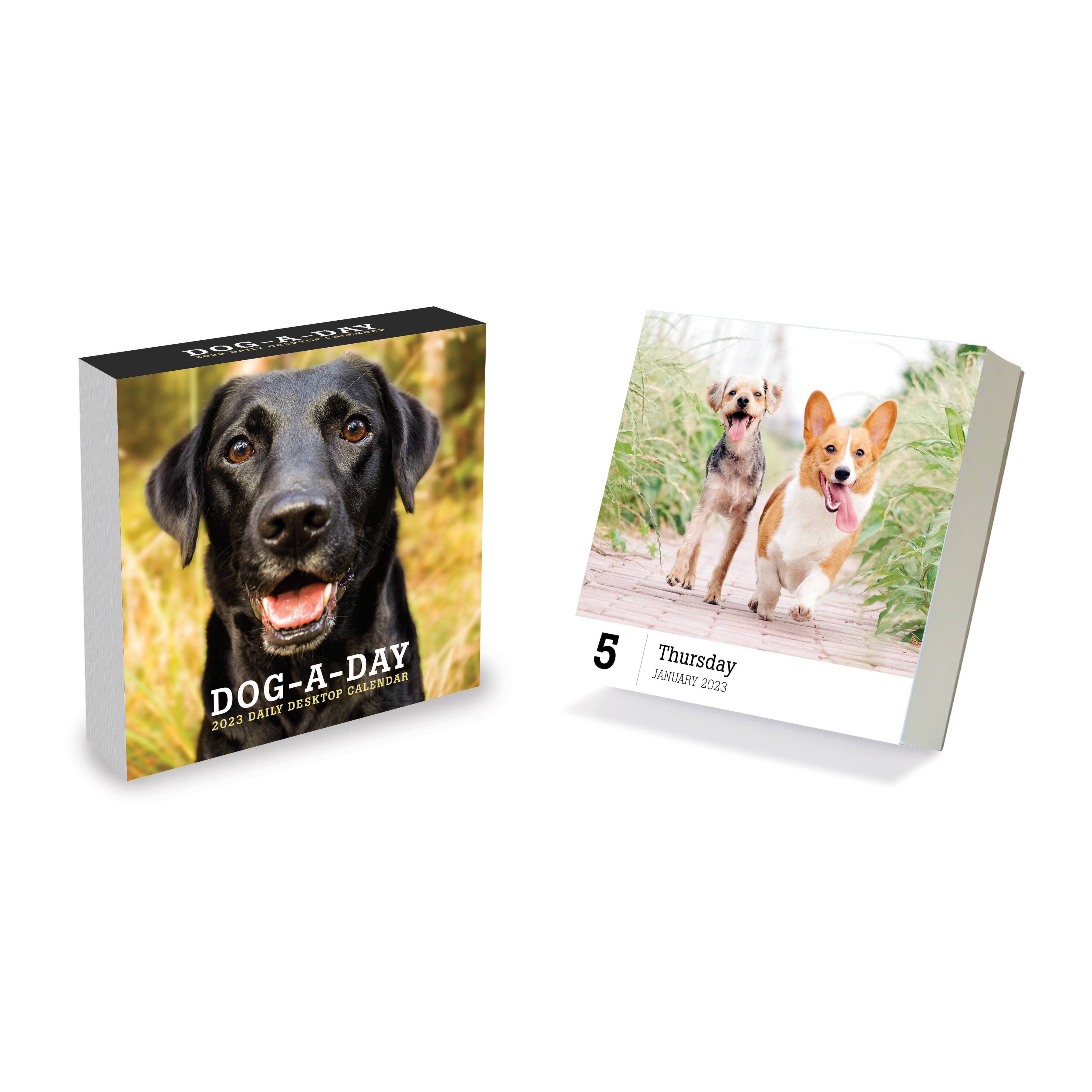 Home or Office Organization Tear-Off Pages TF PUBLISHING 5.25 x 5.25 2022 Dog A Day Daily Desktop Calendar Fold-Out Cardboard Easel 