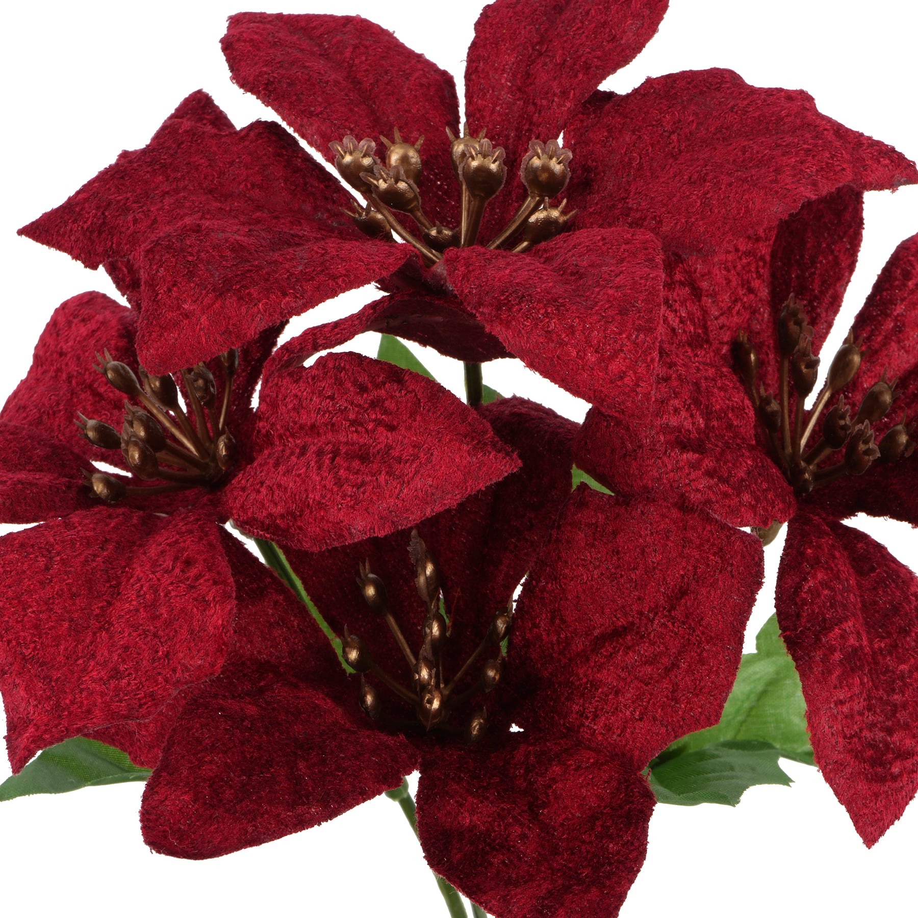 9&#x22; Burgundy Poinsettia Bush by Ashland&#xAE;