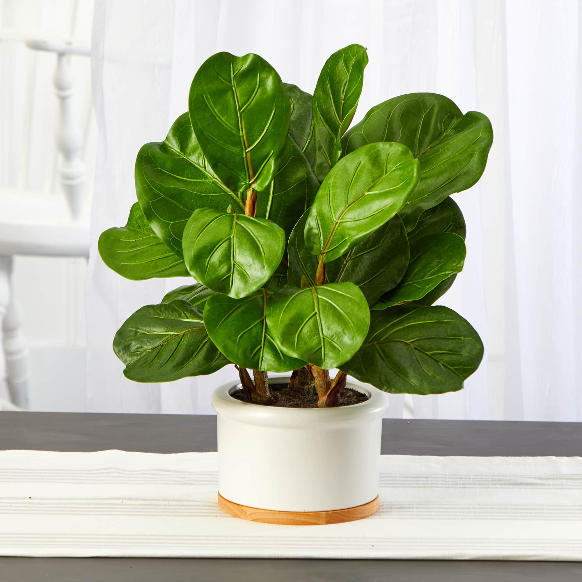 15&#x22; Fiddle Leaf Tree in White Planter