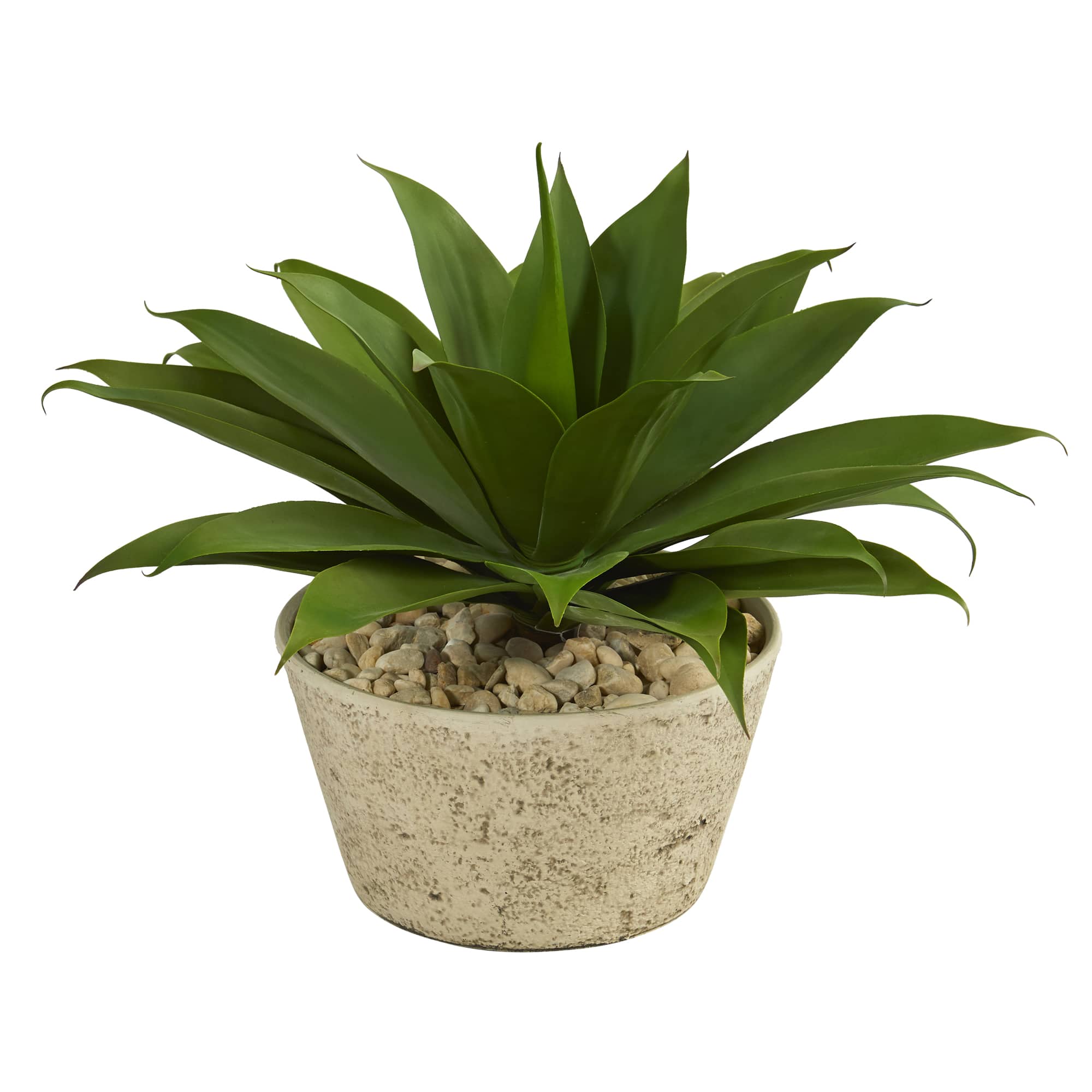 1.5ft. Agave Succulent Plant in White Planter 