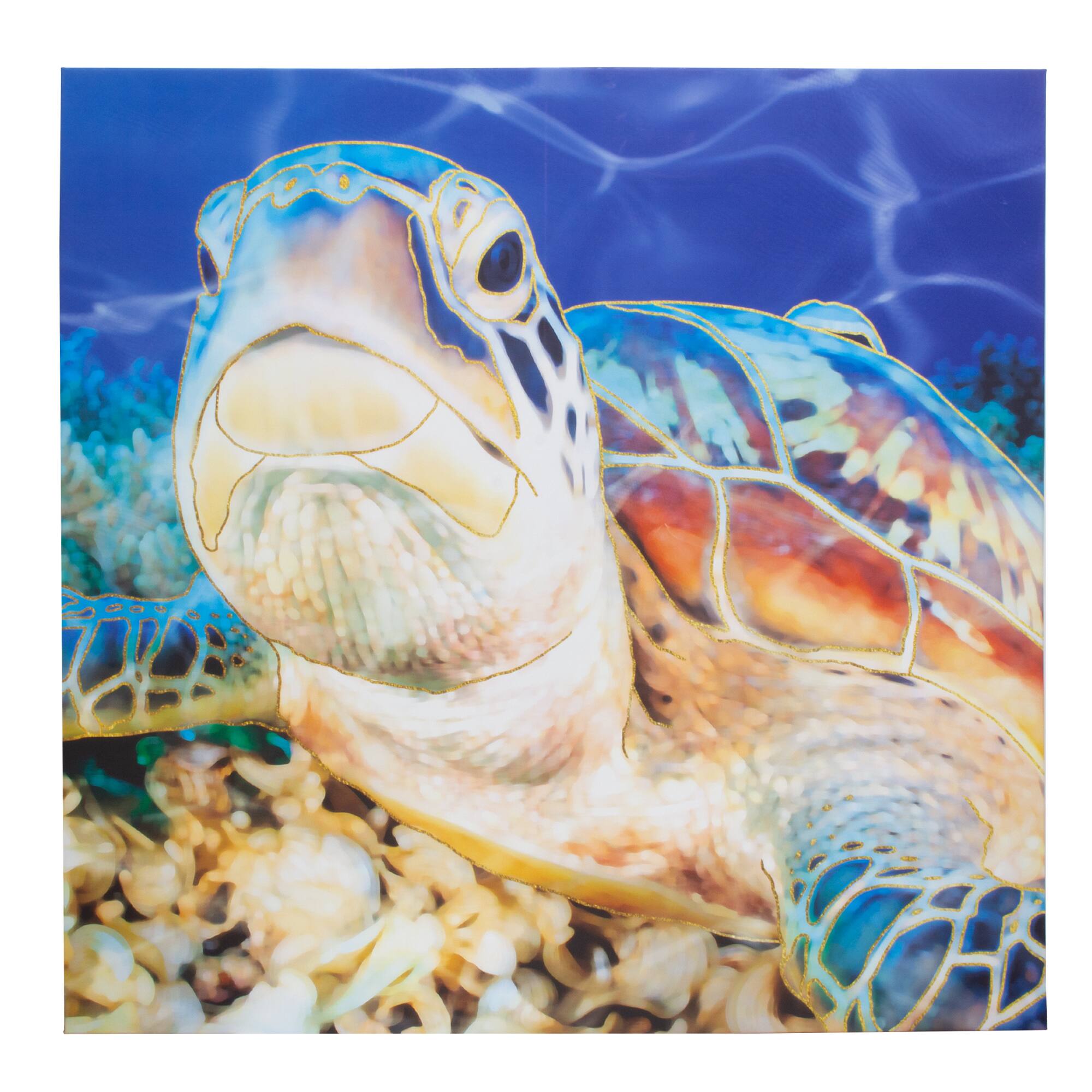 Sea Turtle Outdoor Canvas Art Print - 35&#x22;x35&#x22;