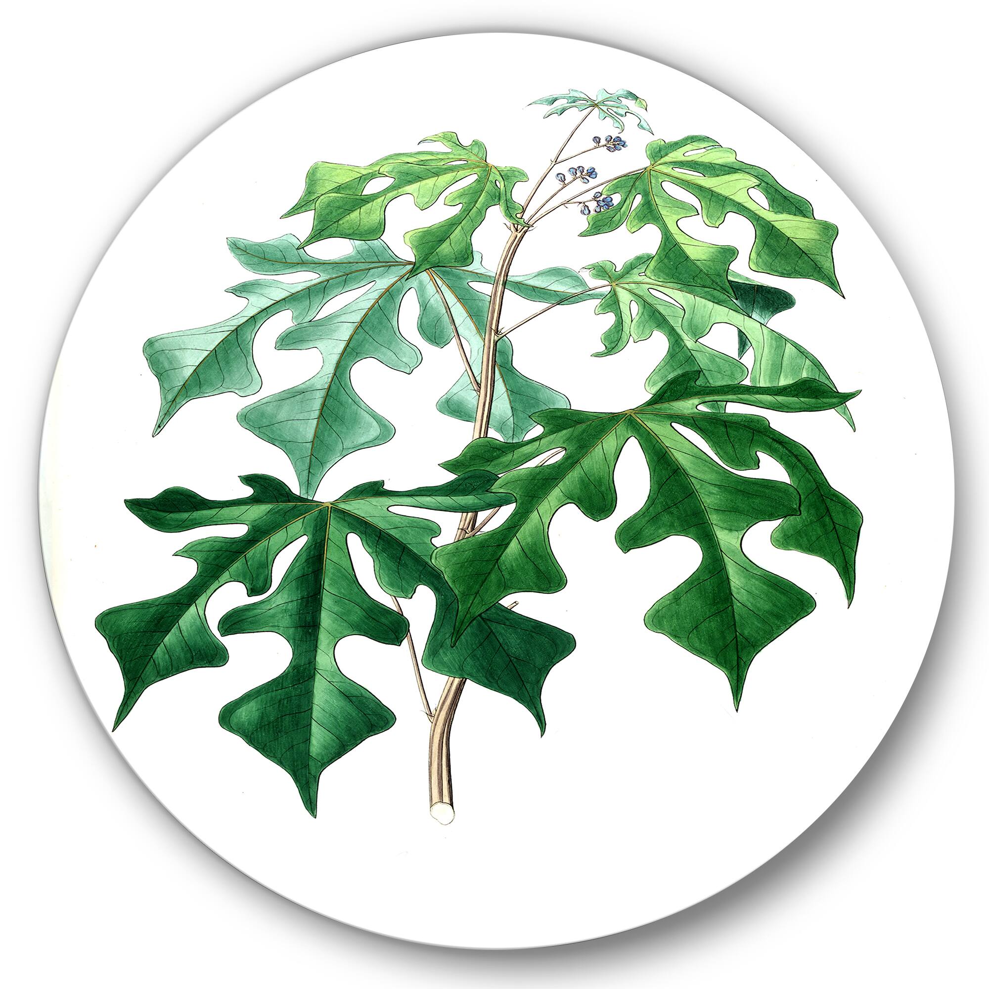Designart - Vintage Green Leaves Plants II - Traditional Metal Circle Wall Art