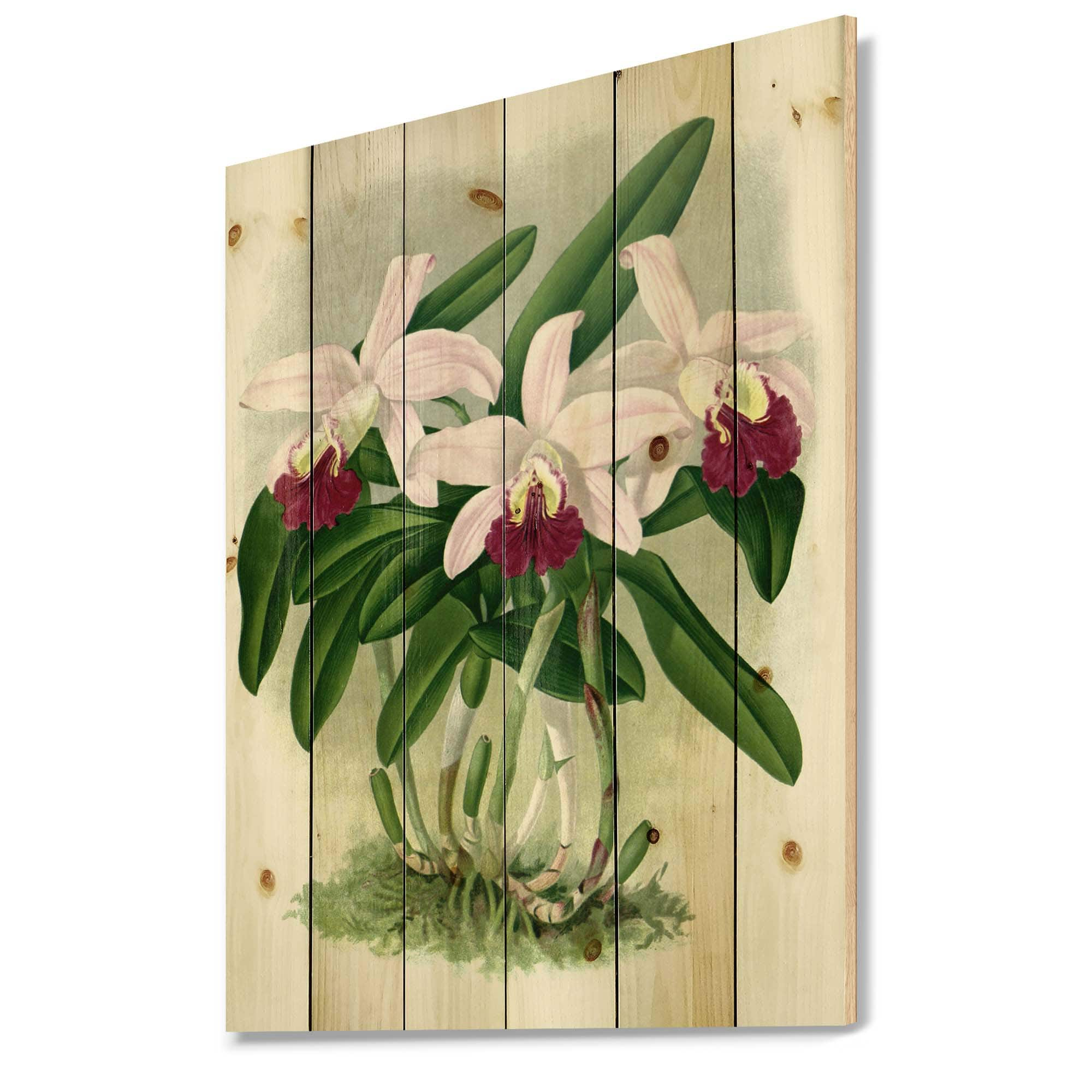 Designart - Vintage White Orchid Flower I - Traditional Print on Natural Pine Wood