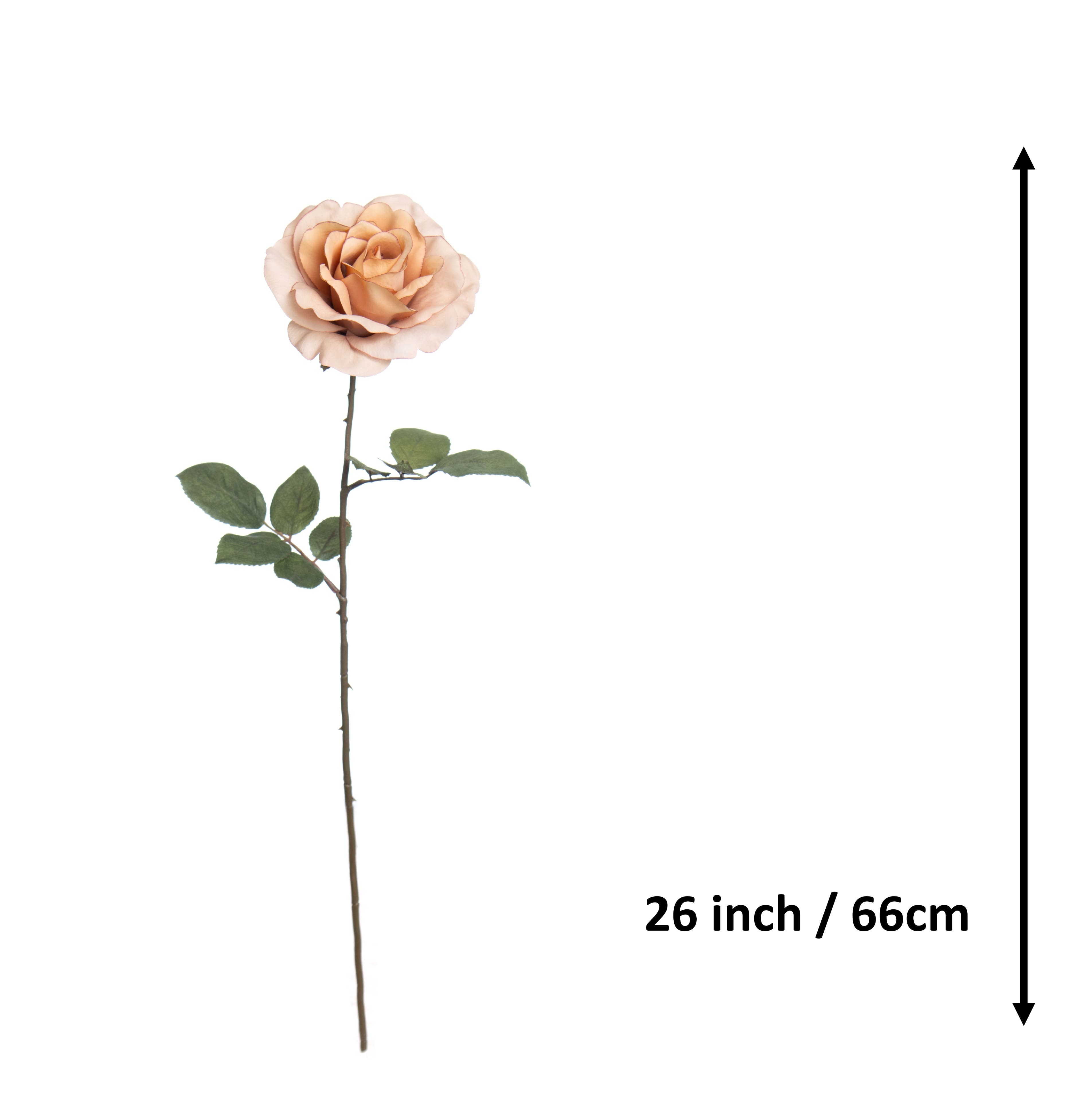 26&#x22; Rose Stem by Ashland&#xAE;