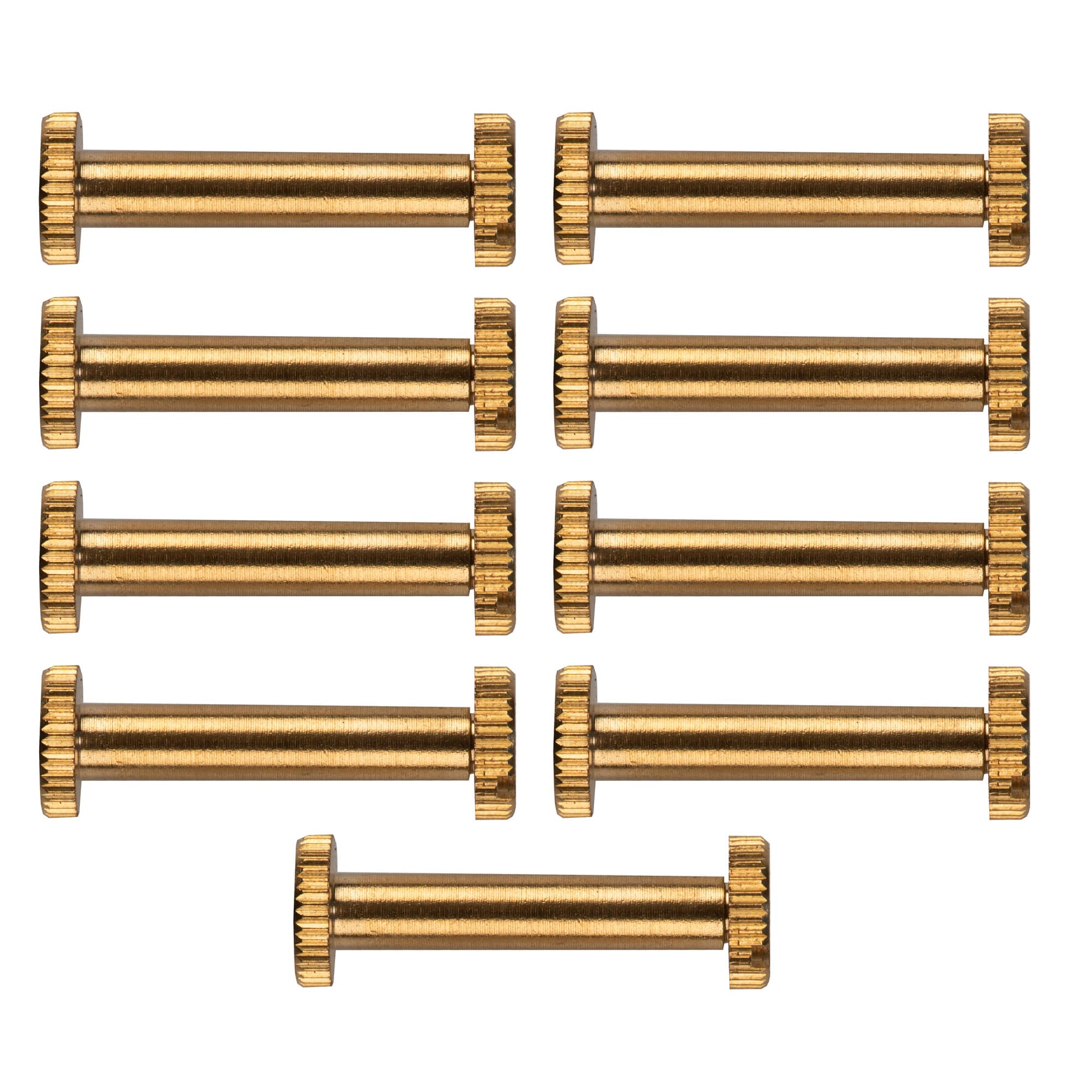 Dritz® Home Brass Long Post Chicago Screws for Binding, 3ct.