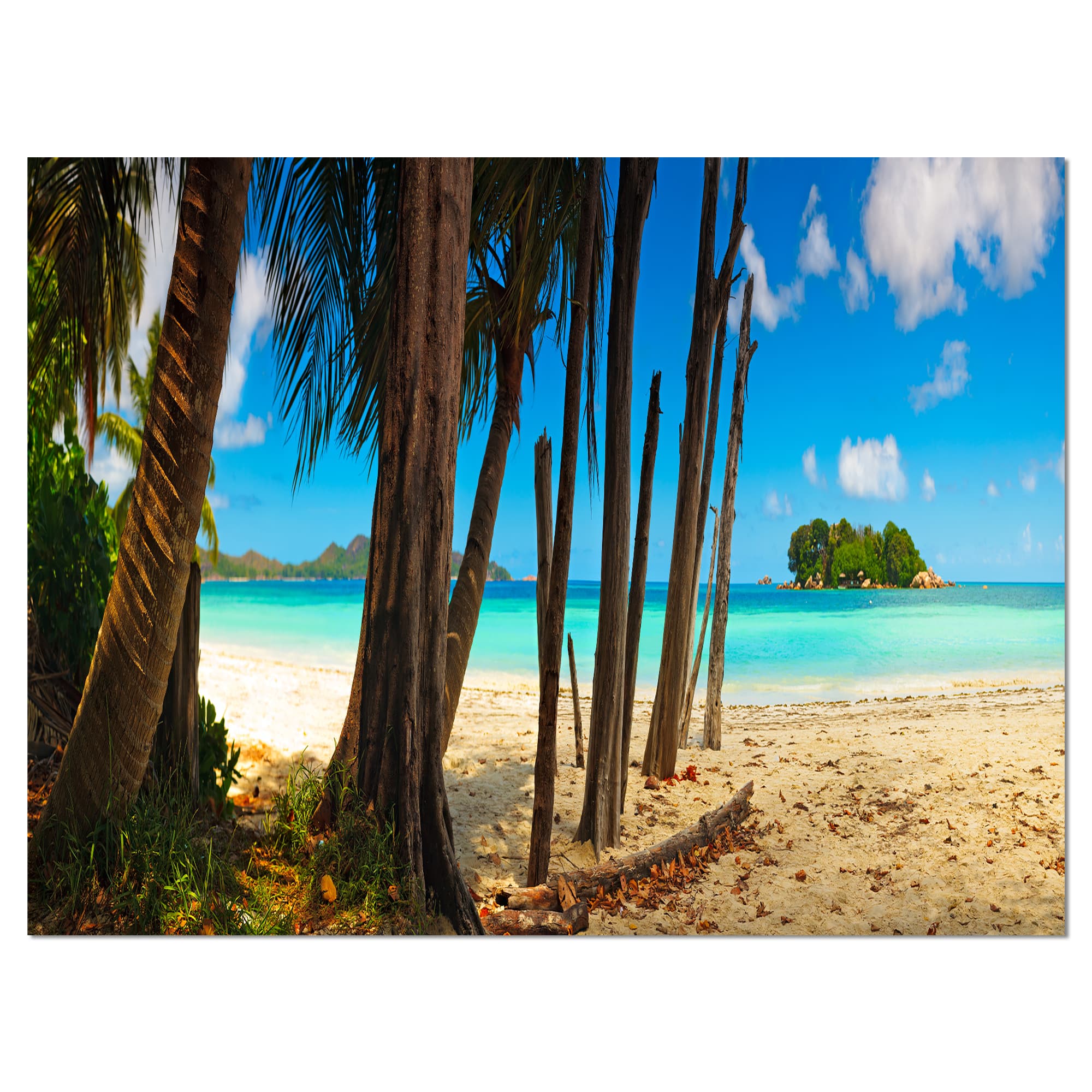 Designart - Praslin Island Tropical Beach Panorama - Modern Seascape Canvas Artwork