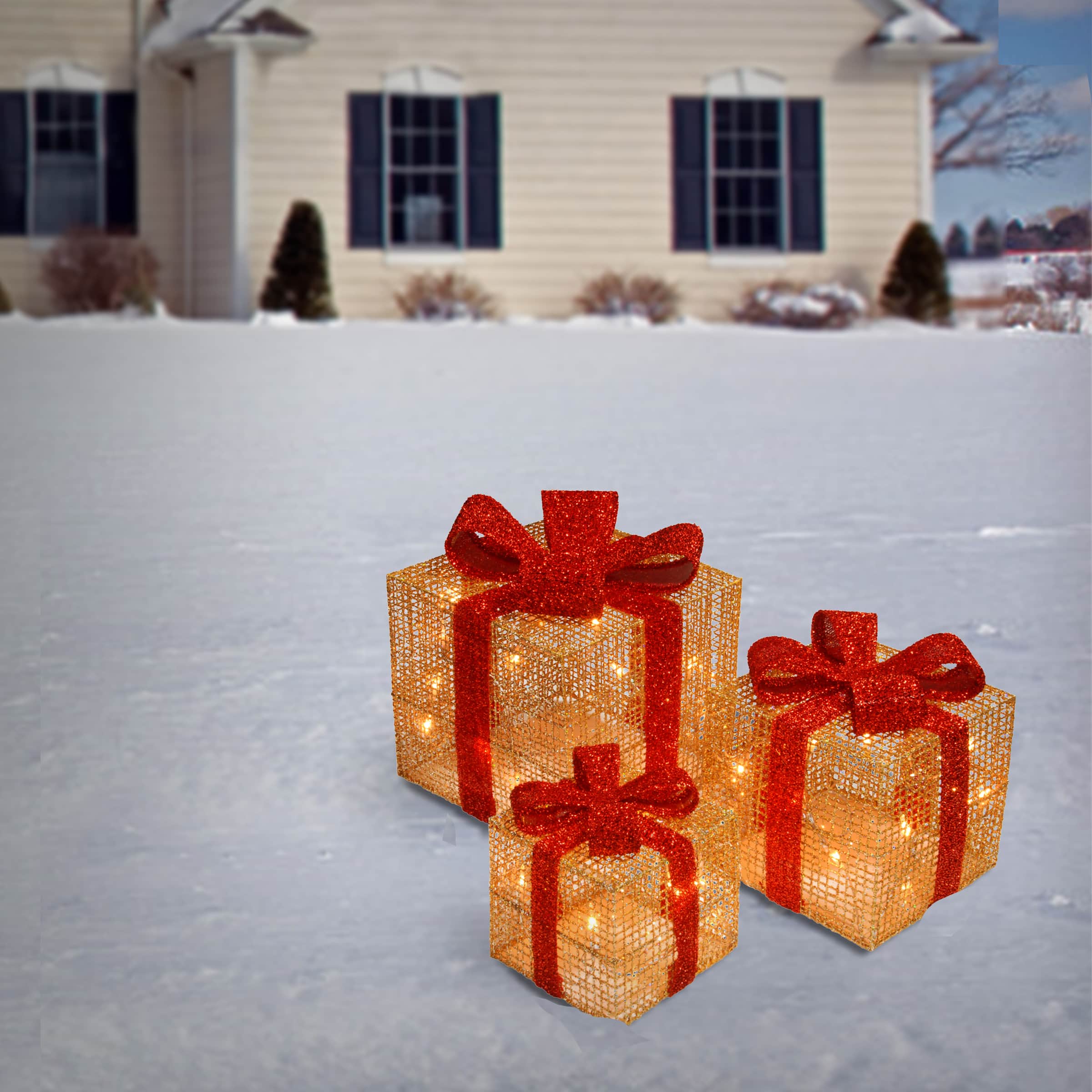 Gold & Red Gift Box Set with Holly with Clear Lights