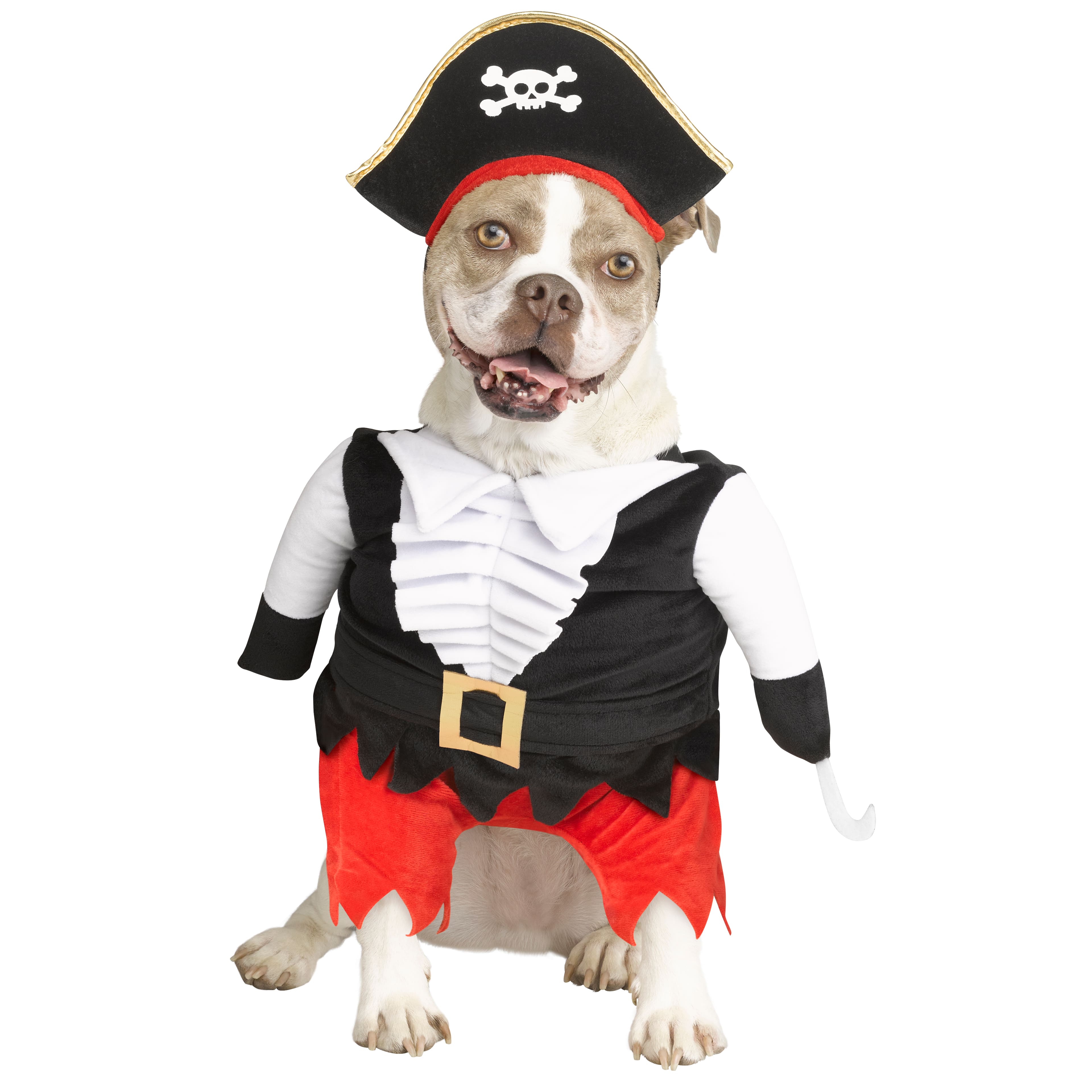 Pirate Dog Costume by Ashland&#xAE;
