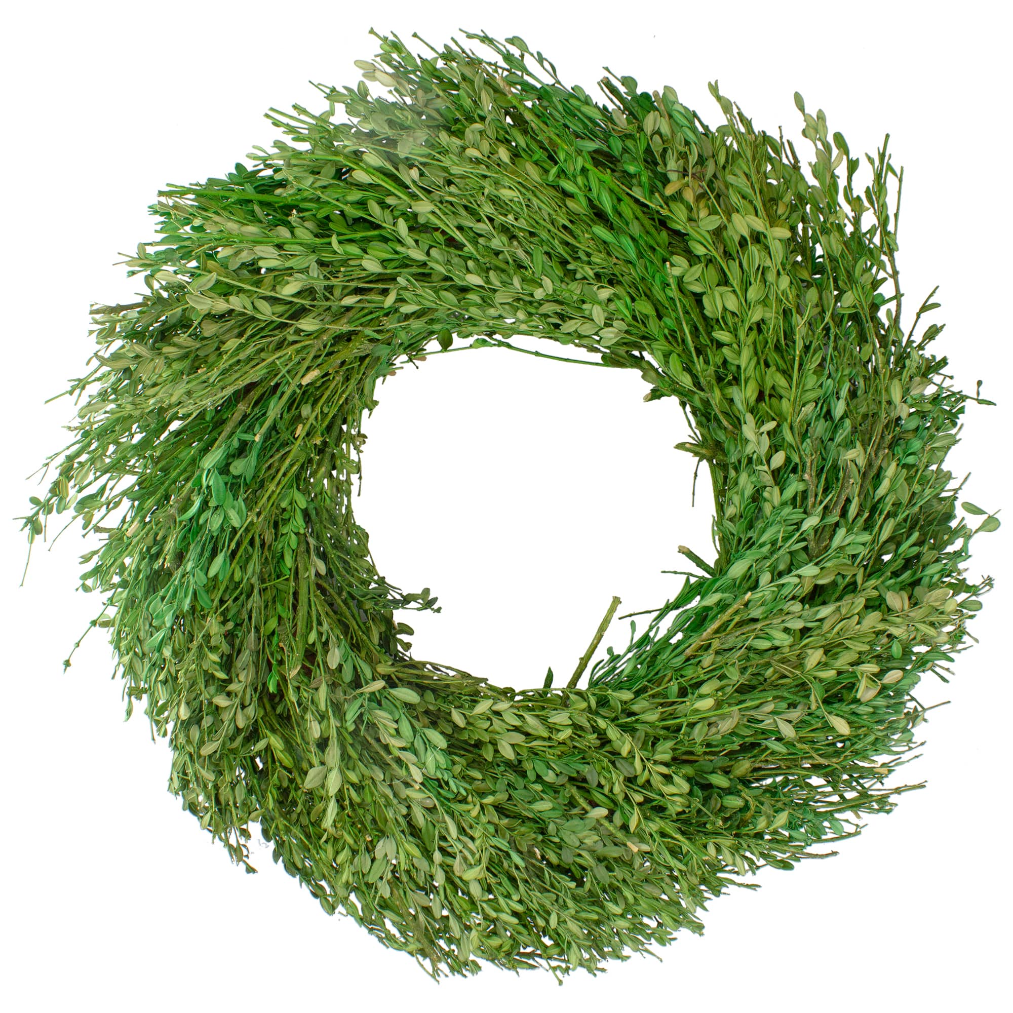 20" Green Foliage Artificial Spring Wreath
