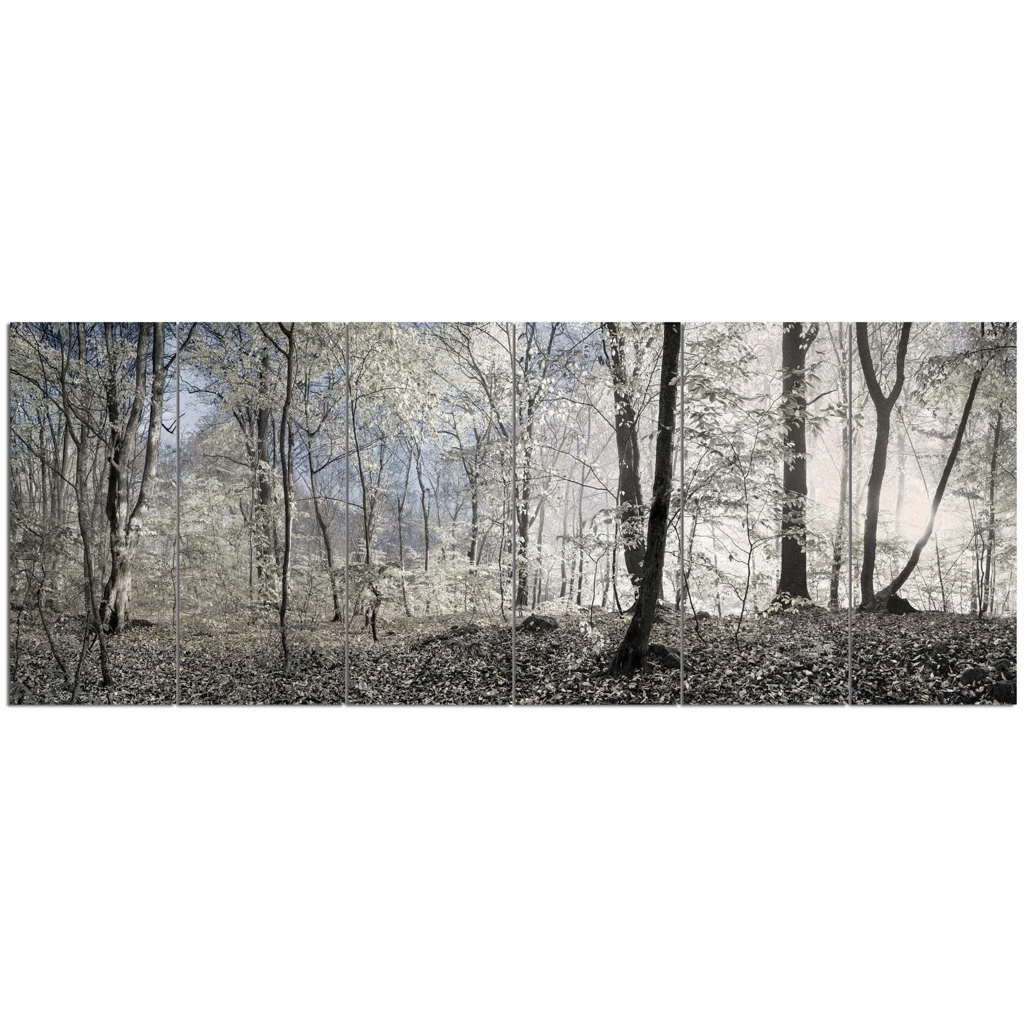 Designart - Dark Morning in Forest Panorama - Landscape Canvas Art Print