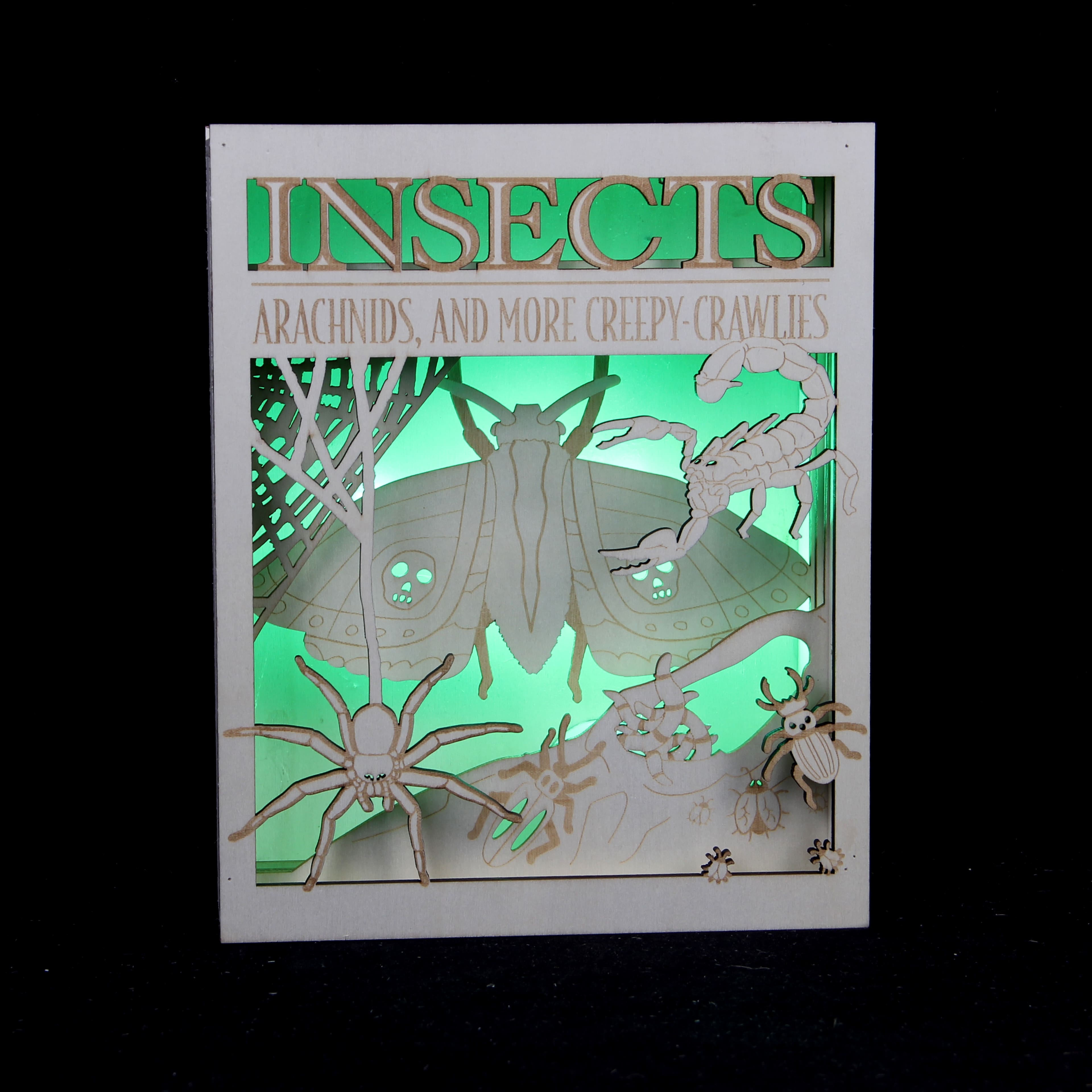 8.5" Insects Book DIY LED Plywood Décor by Make Market®