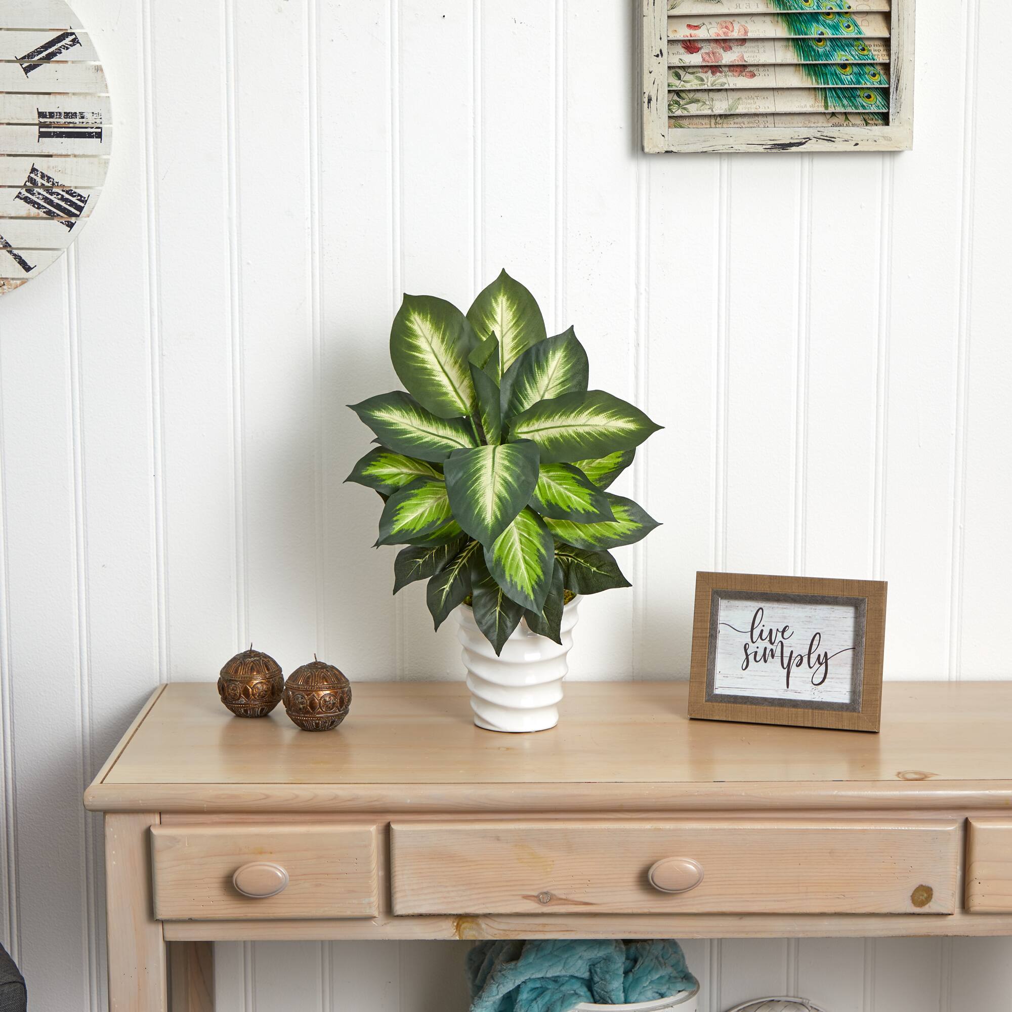 22" Potted Dieffenbachia in White Decorative Planter