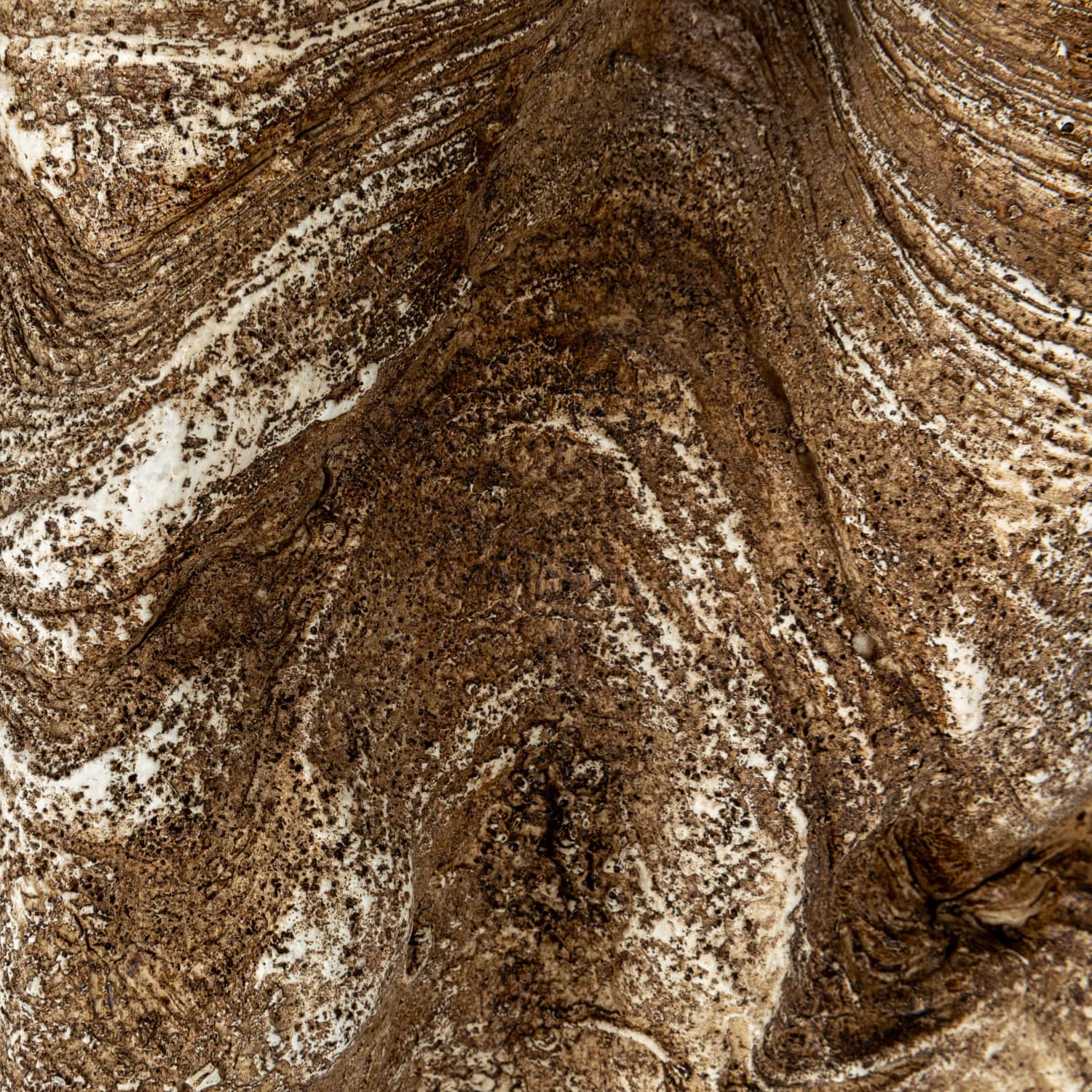 Hello Honey® 14.25" Decorative Clam Wall Bowl