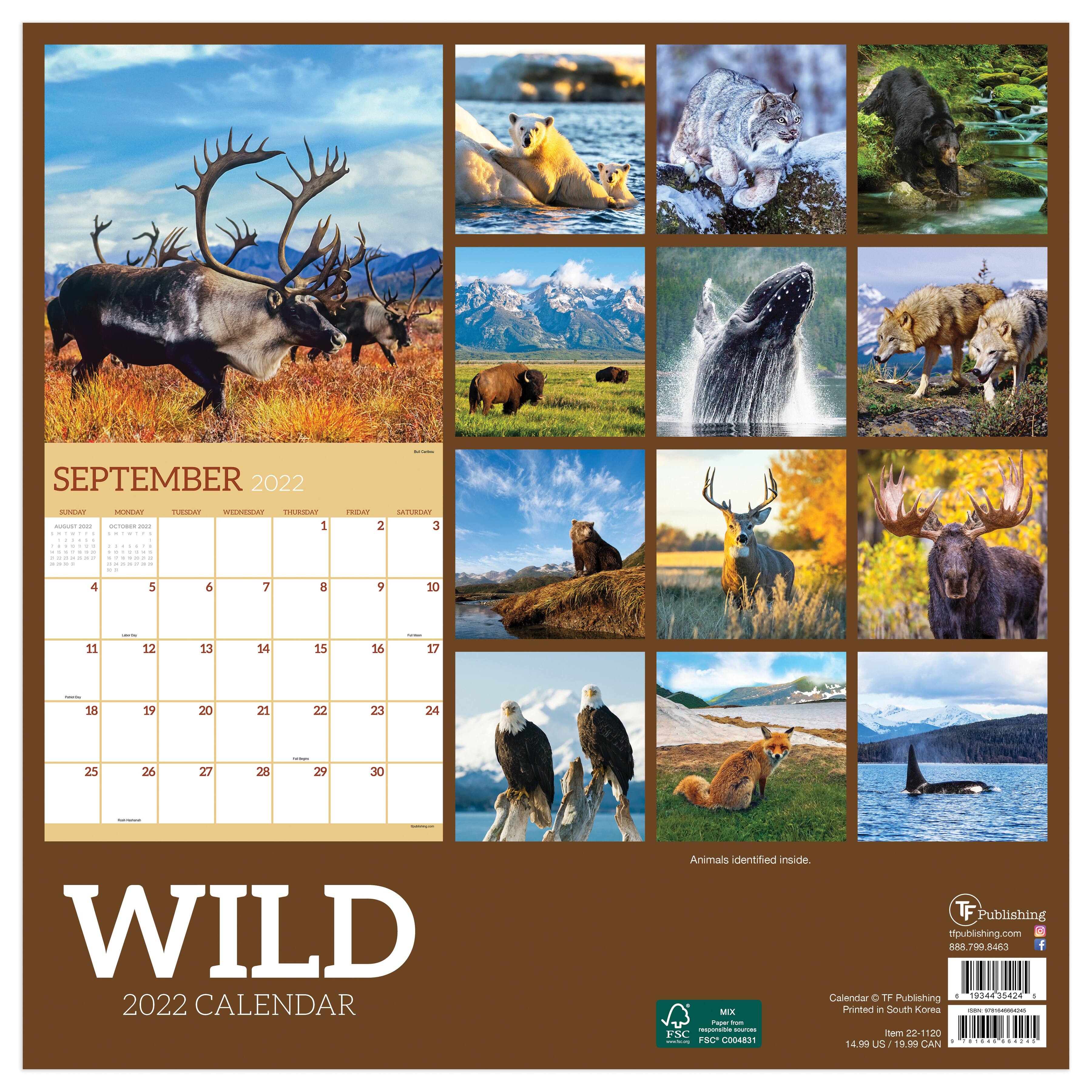 2022 Wild Wall Calendar Michaels