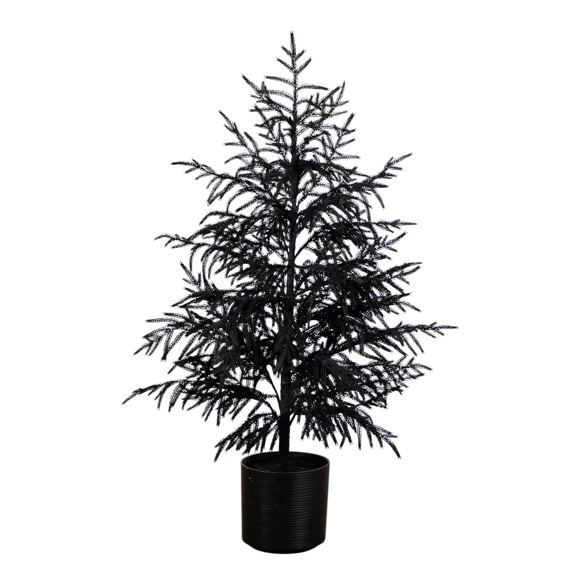 4ft. Artificial Halloween Real Touch Black Norfolk Pine Christmas Tree with Natural Look