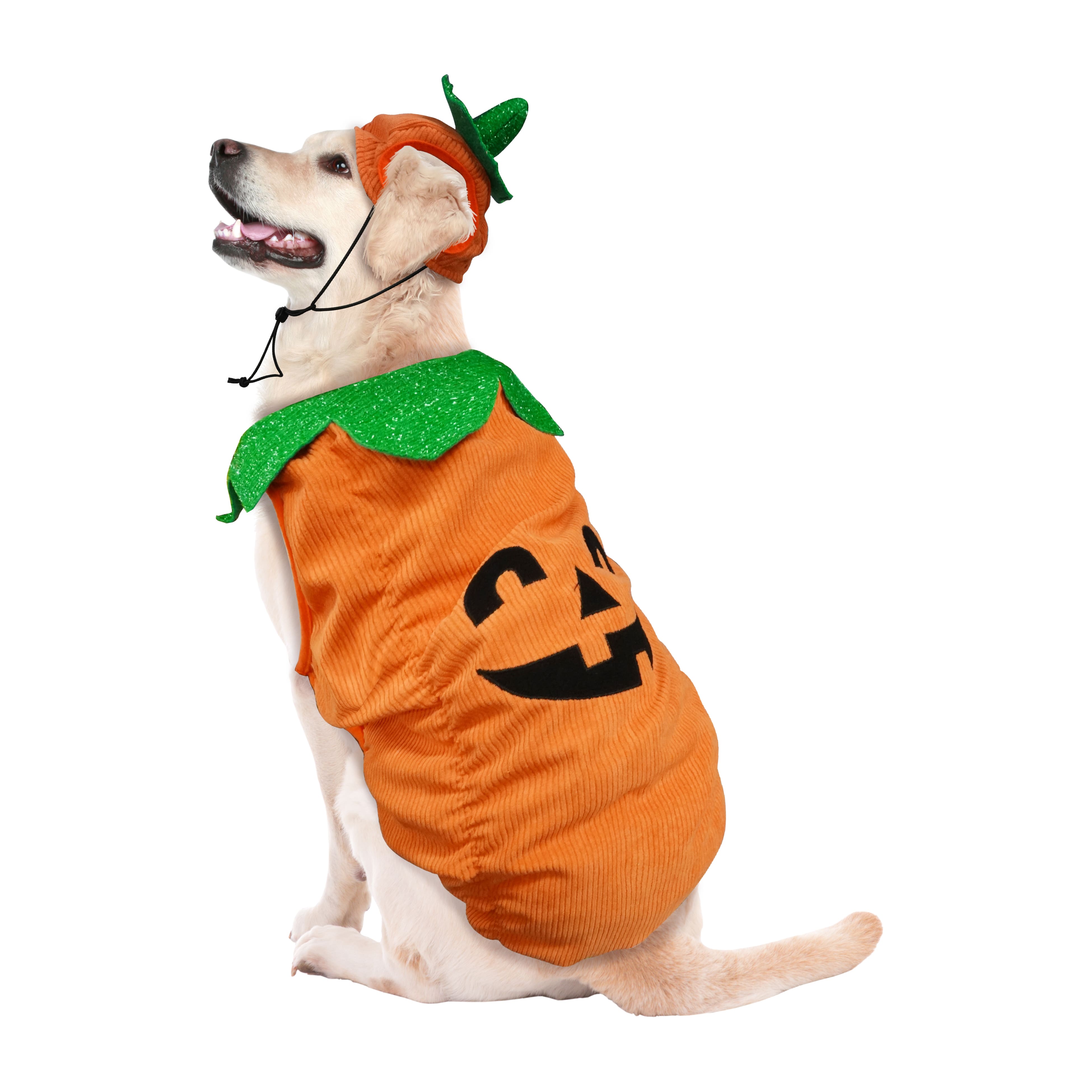 Best Furry Friends Jack-o&#x27;-Lantern Pumpkin Pet Costume
