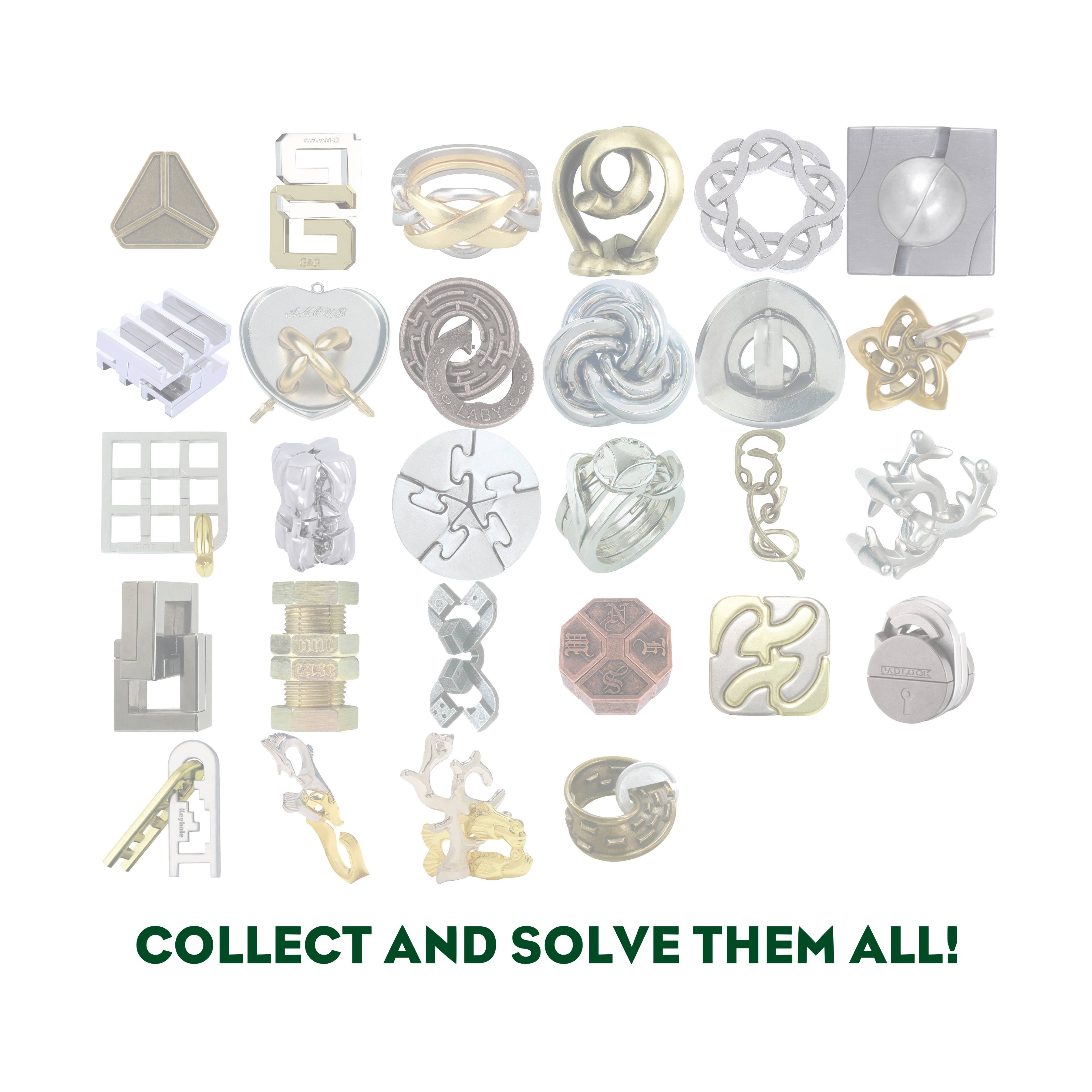 Hanayama Level 3 Cast Puzzle - Hex