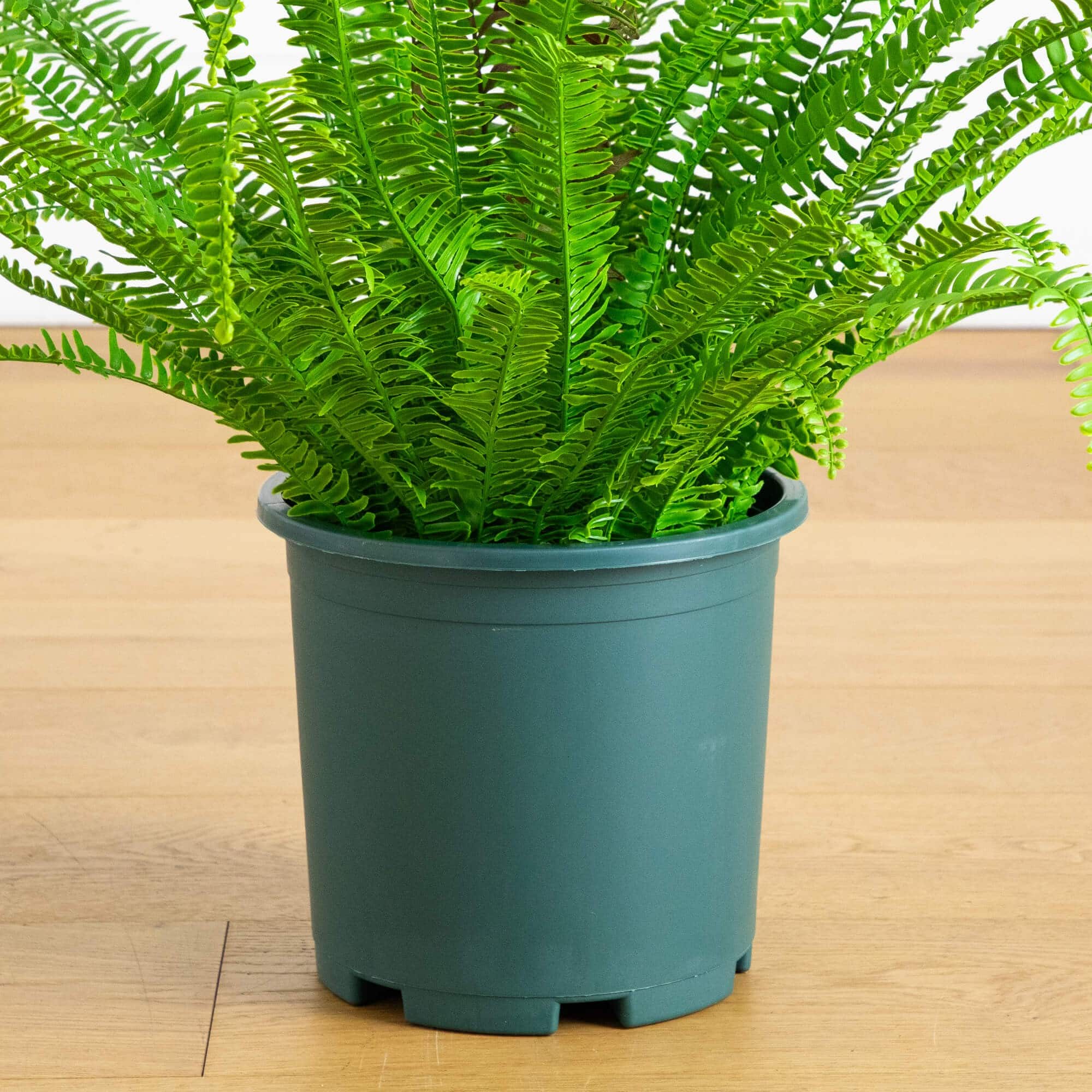 27in. UV Resistant Artificial Boston Fern Plant with Real Touch Leaves (Indoor/Outdoor)