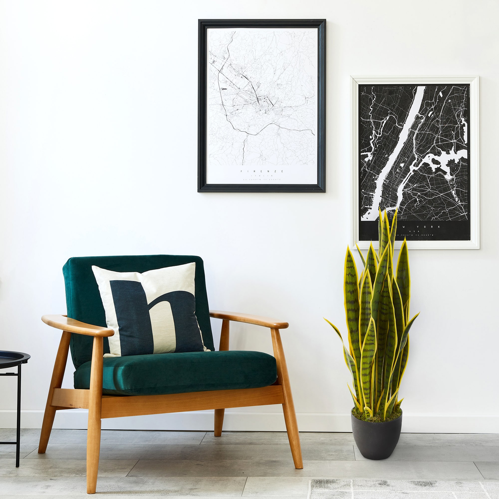 3ft. Potted Snake Plant