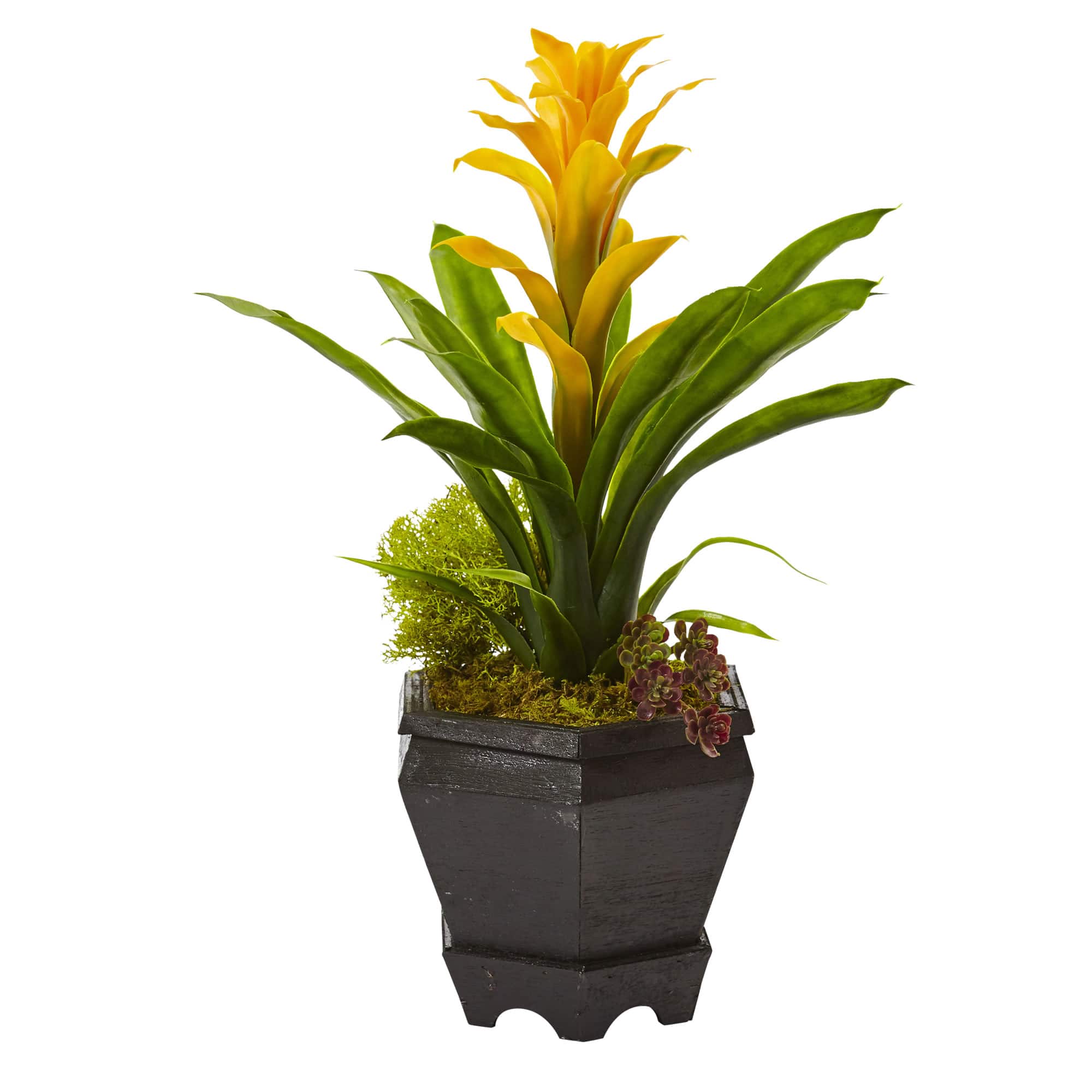 16.5'' Bromeliad in Black Hexagon Planter