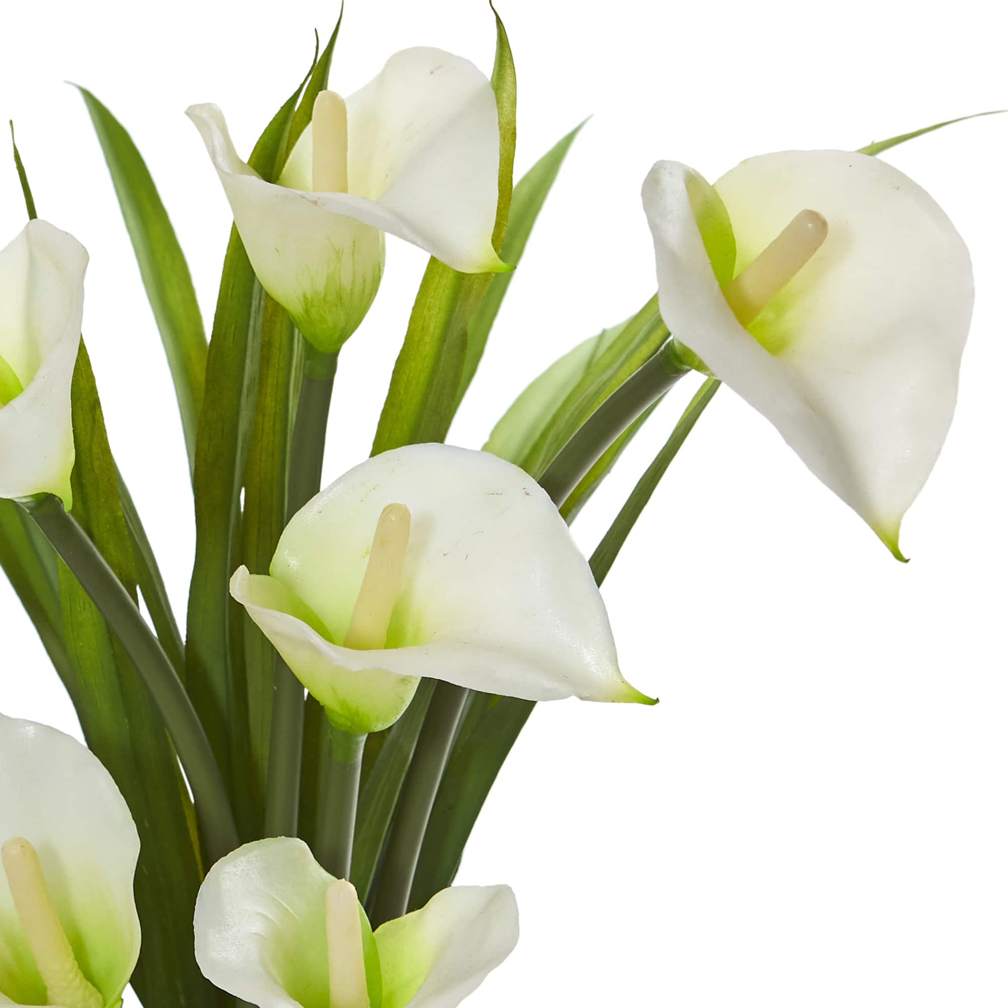15.5" Calla Lily Arrangement in Clear Glass Vase