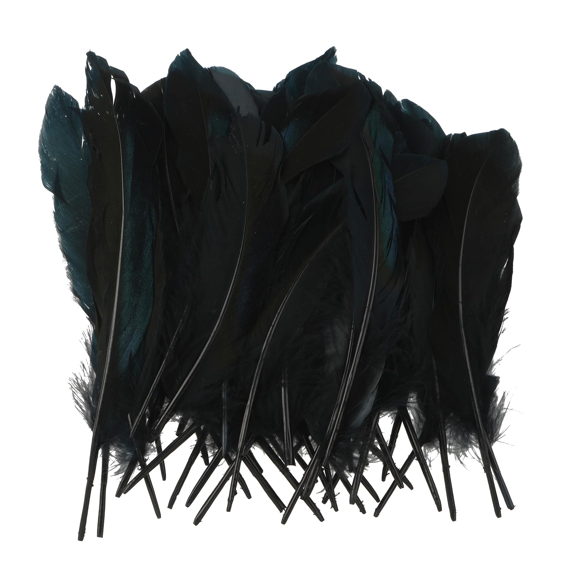 Black Natural Feathers, 50ct. by Ashland&#xAE;