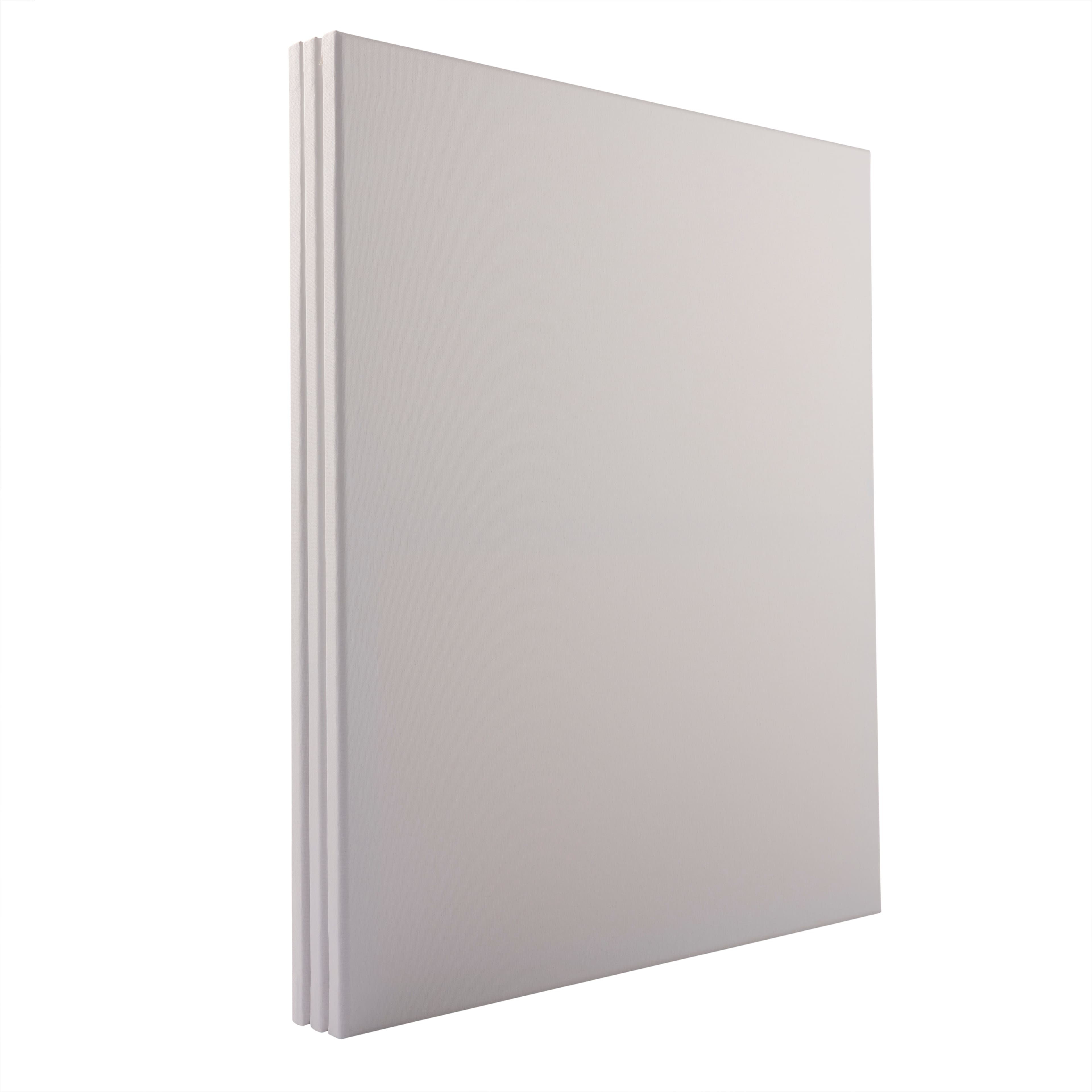 3 Pack 20&#x22; x 24&#x22; Super Value Canvas by Artist&#x27;s Loft&#xAE;