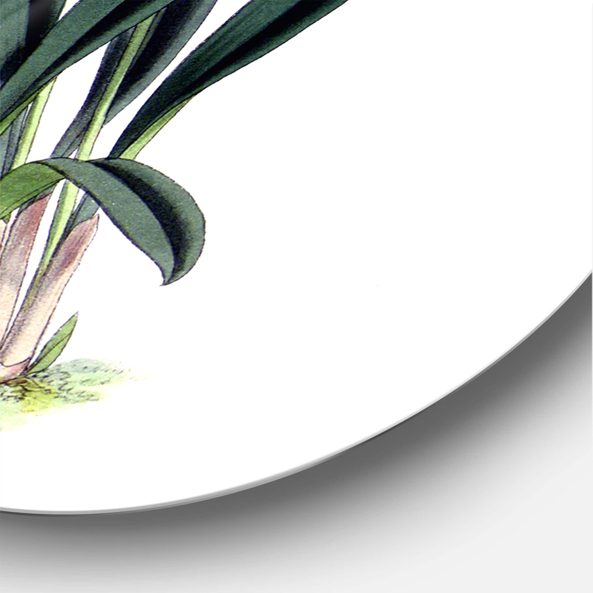 Designart - Retro Orchid Flowers - Farmhouse Metal Circle Wall Art