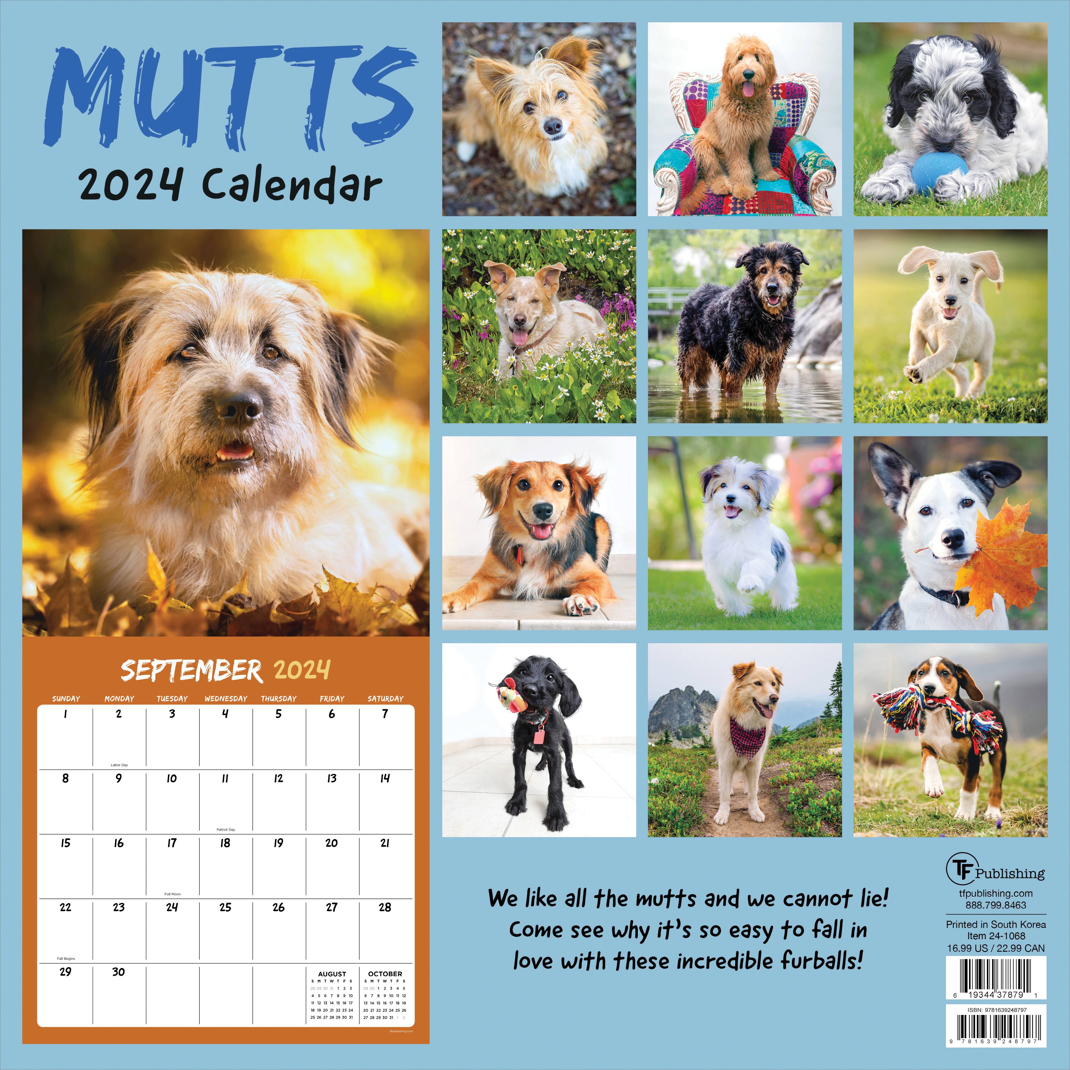 TF Publishing 2024 Mutts Wall Calendar
