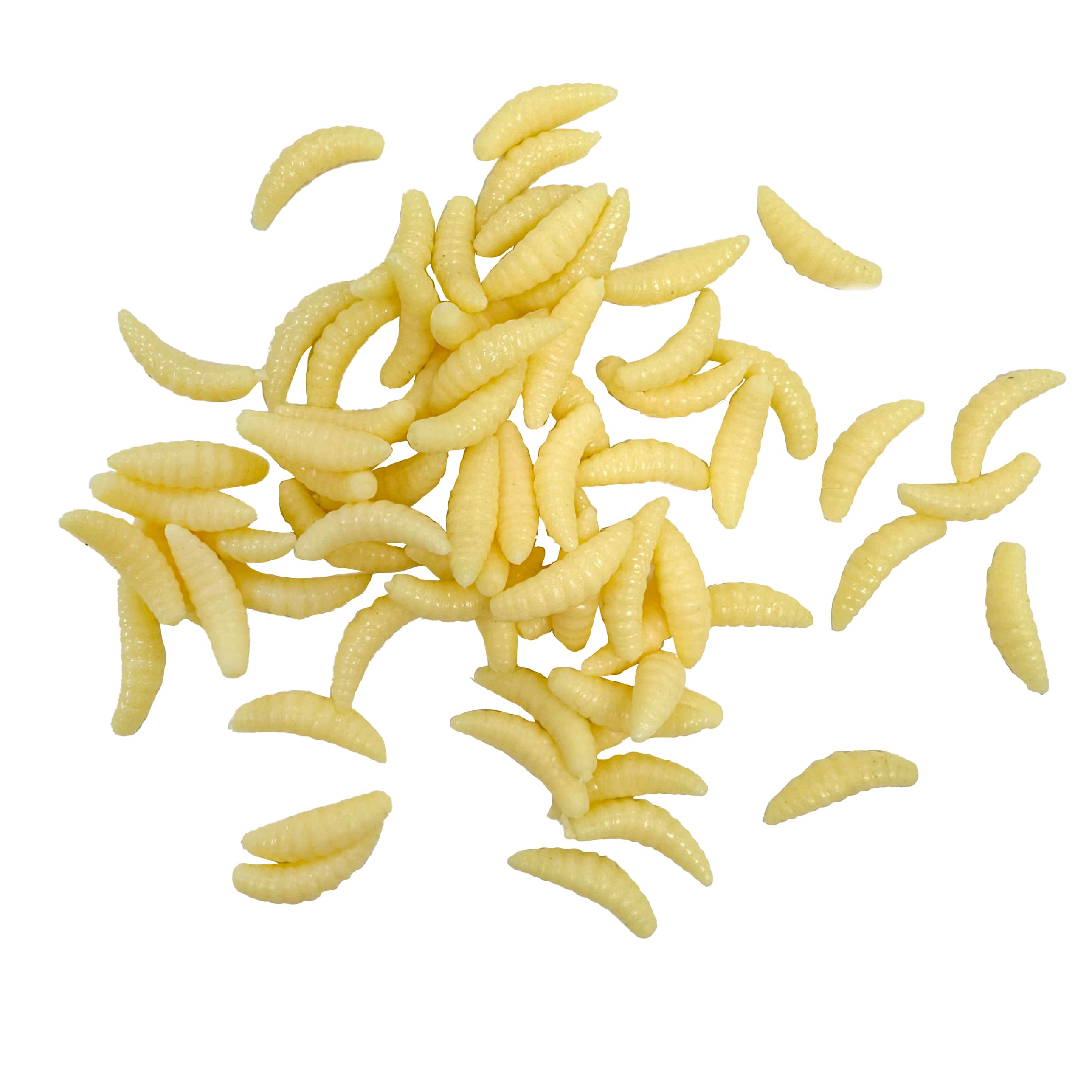 Maggots, 72ct. by Ashland&#xAE;