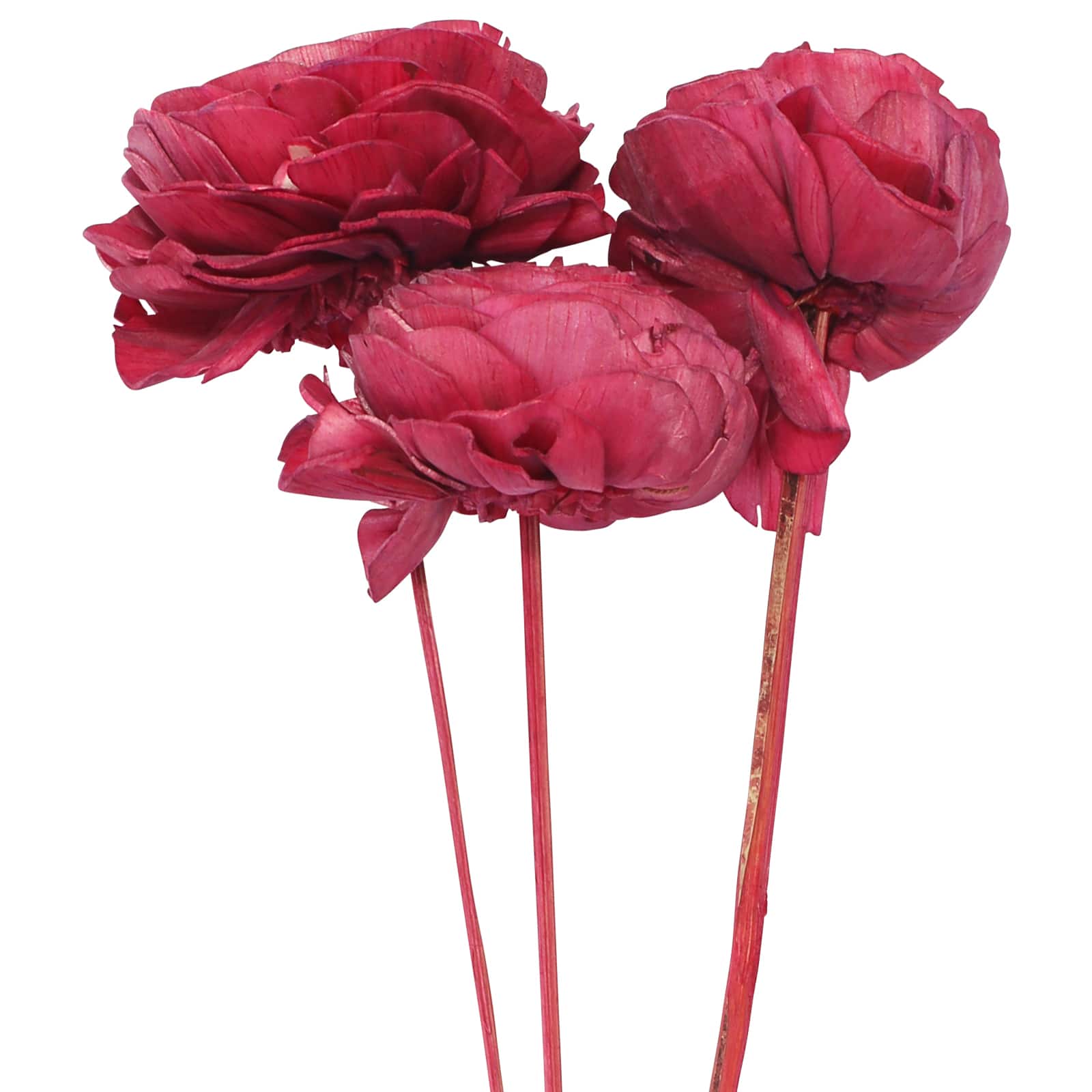 20" Pink Cabbage Rose Sola Flowers, 3ct. by Ashland®