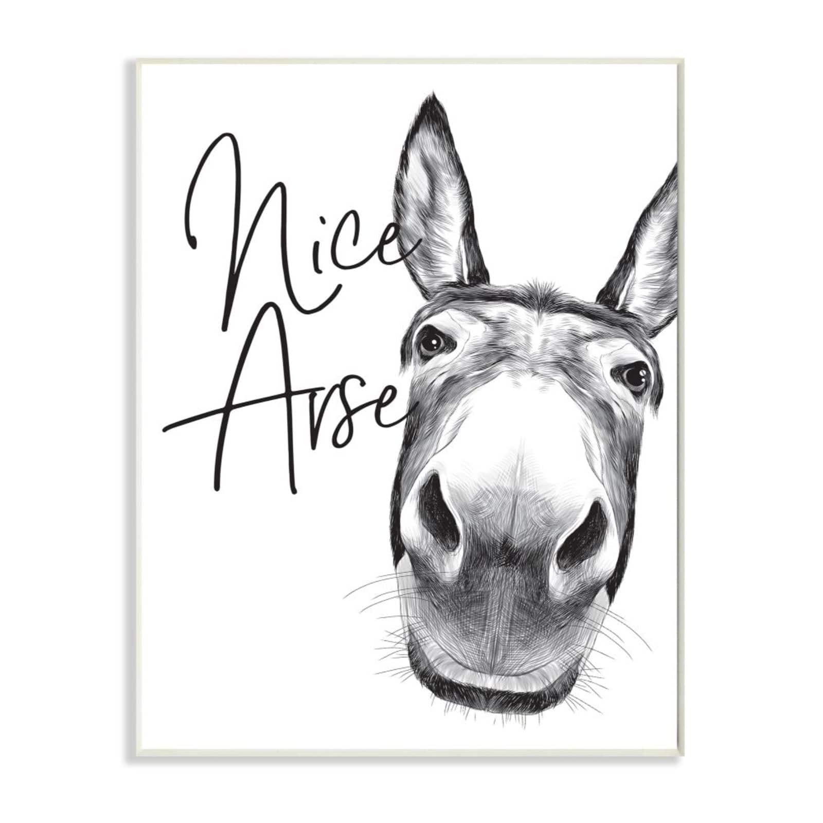 Stupell Industries Nice Arse Donkey Bathroom Wall Plaque