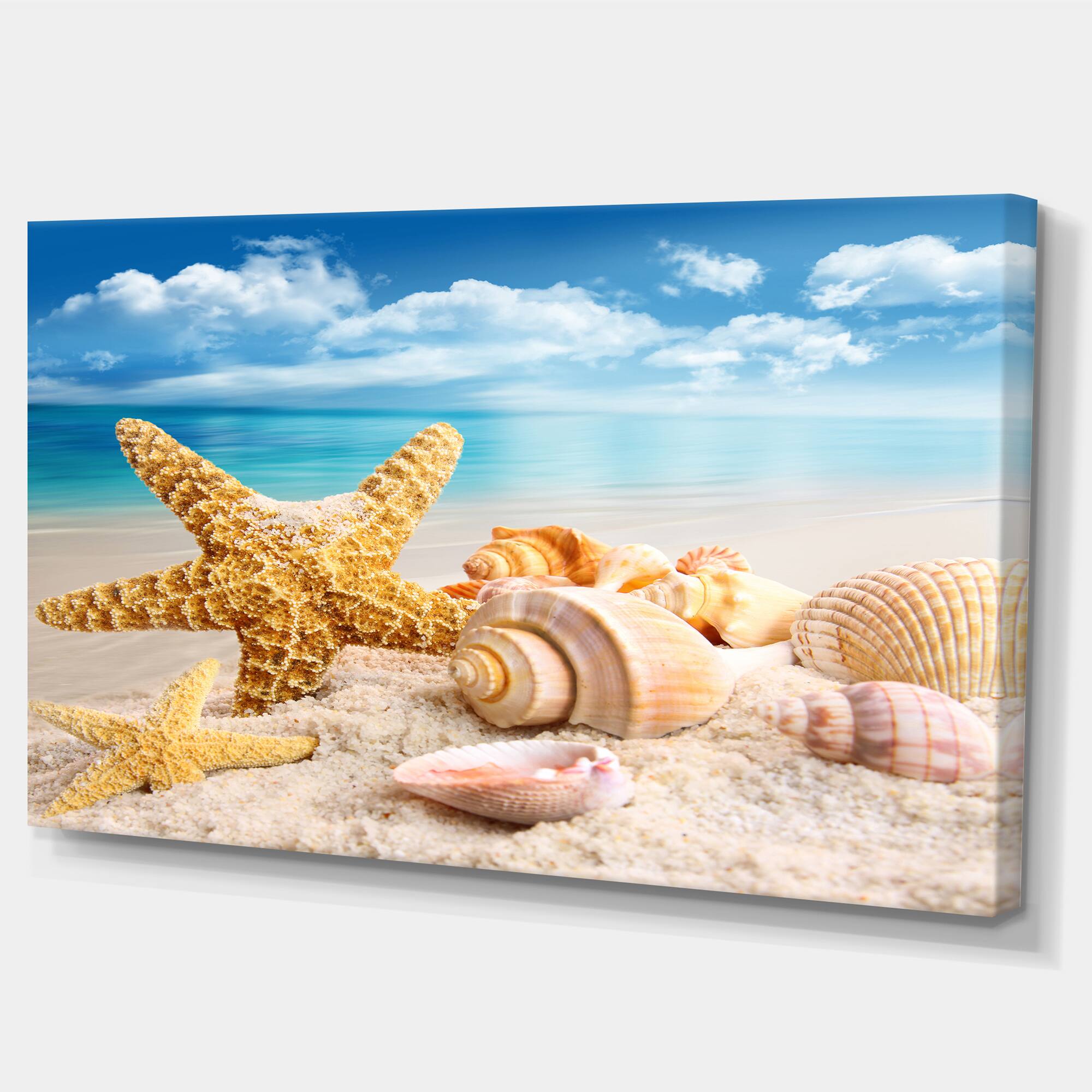 Designart - Starfish and Seashells on Beach - Seashore Photo Canvas Art Print