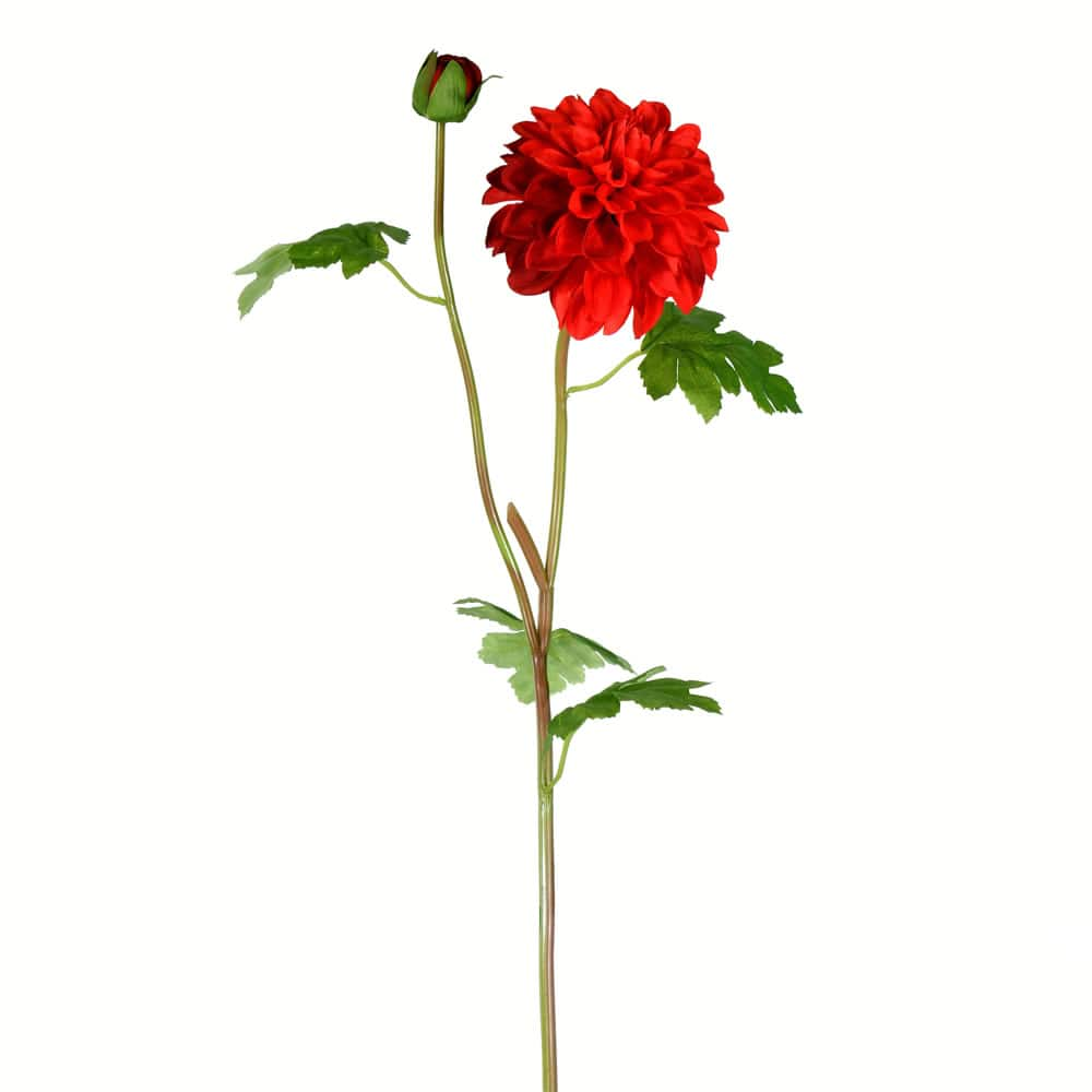 Red Dahlia Stem, 3ct.