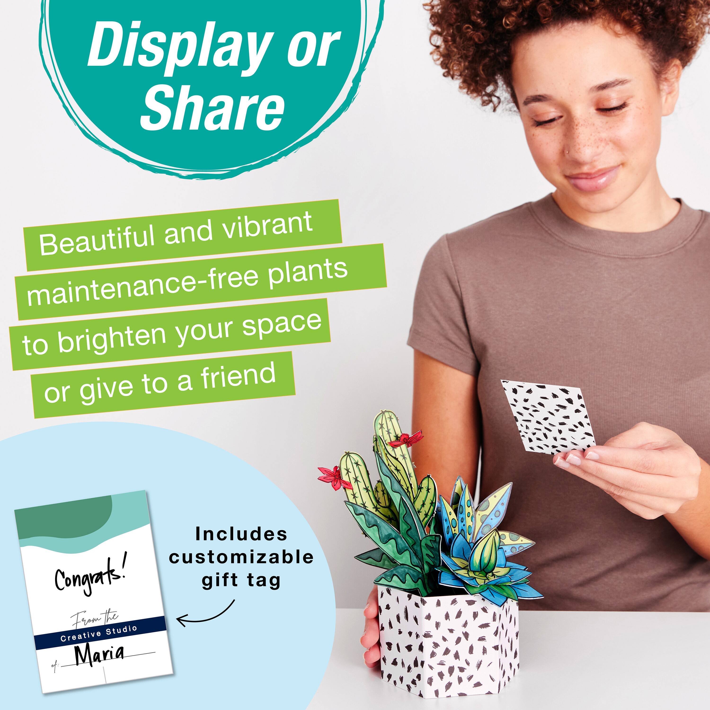 Faber-Castell® Succulents Pop Up Colouring Bouquet