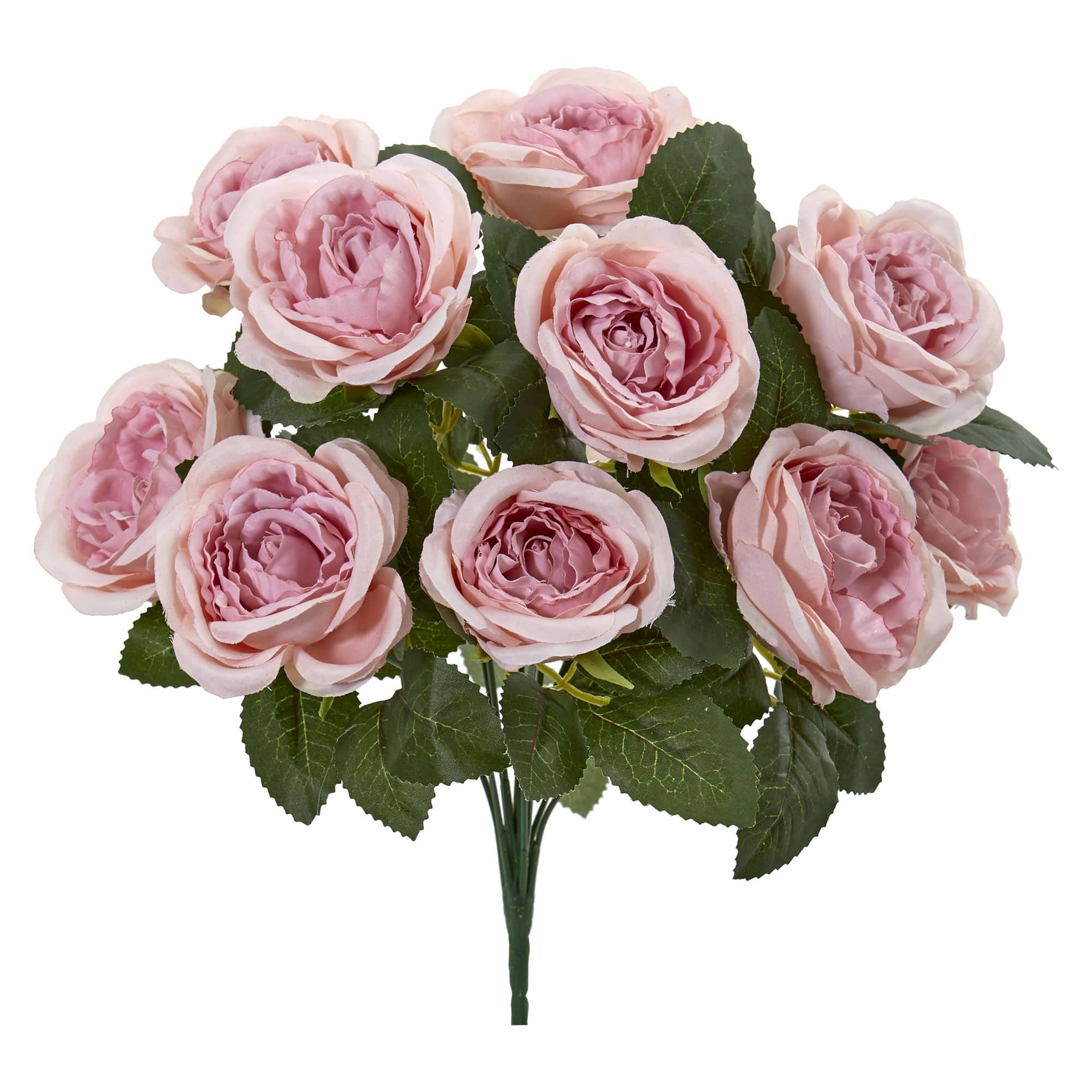 Pink Rose Bush, 6ct.