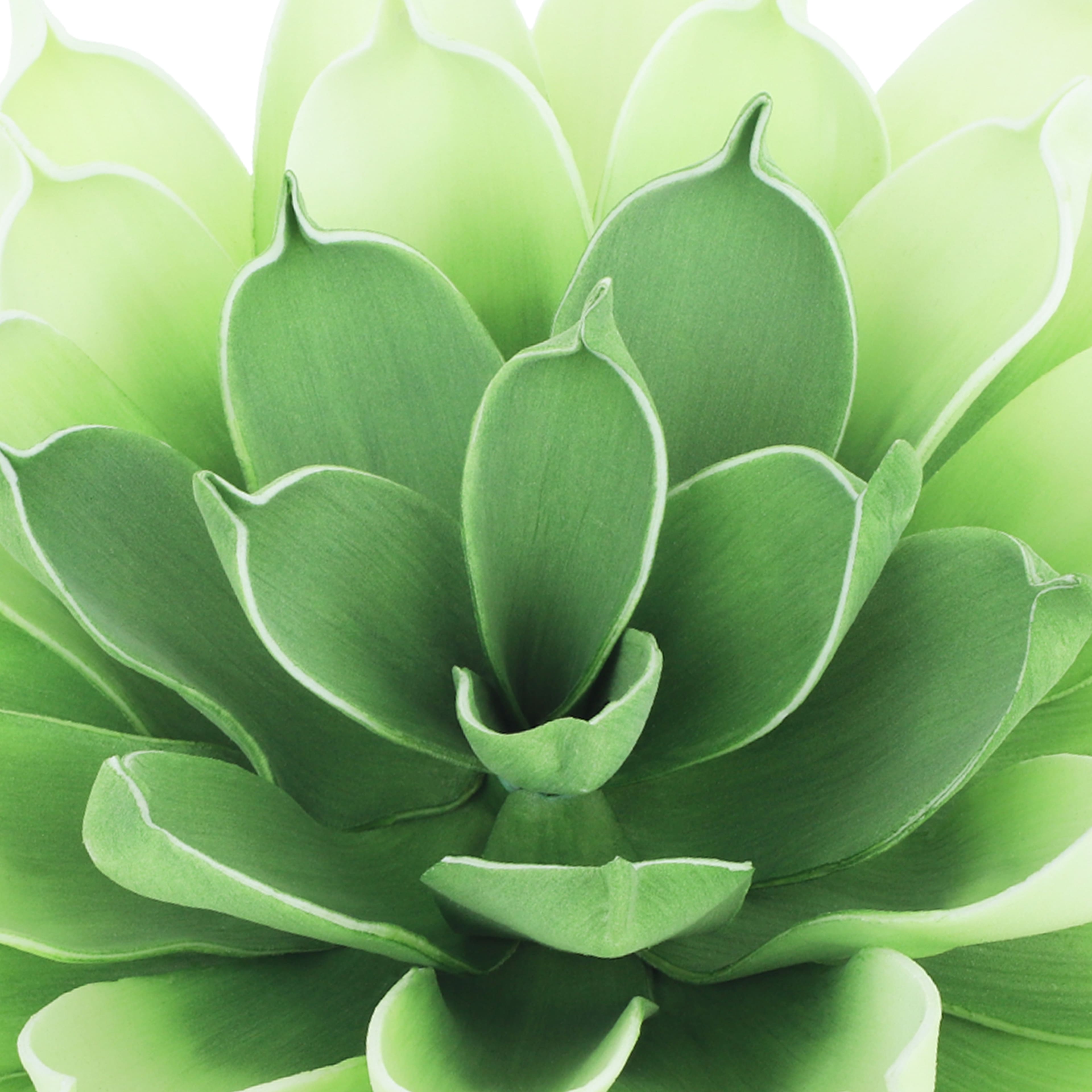 12.5&#x22; Green Decorative Succulent by Ashland&#xAE;