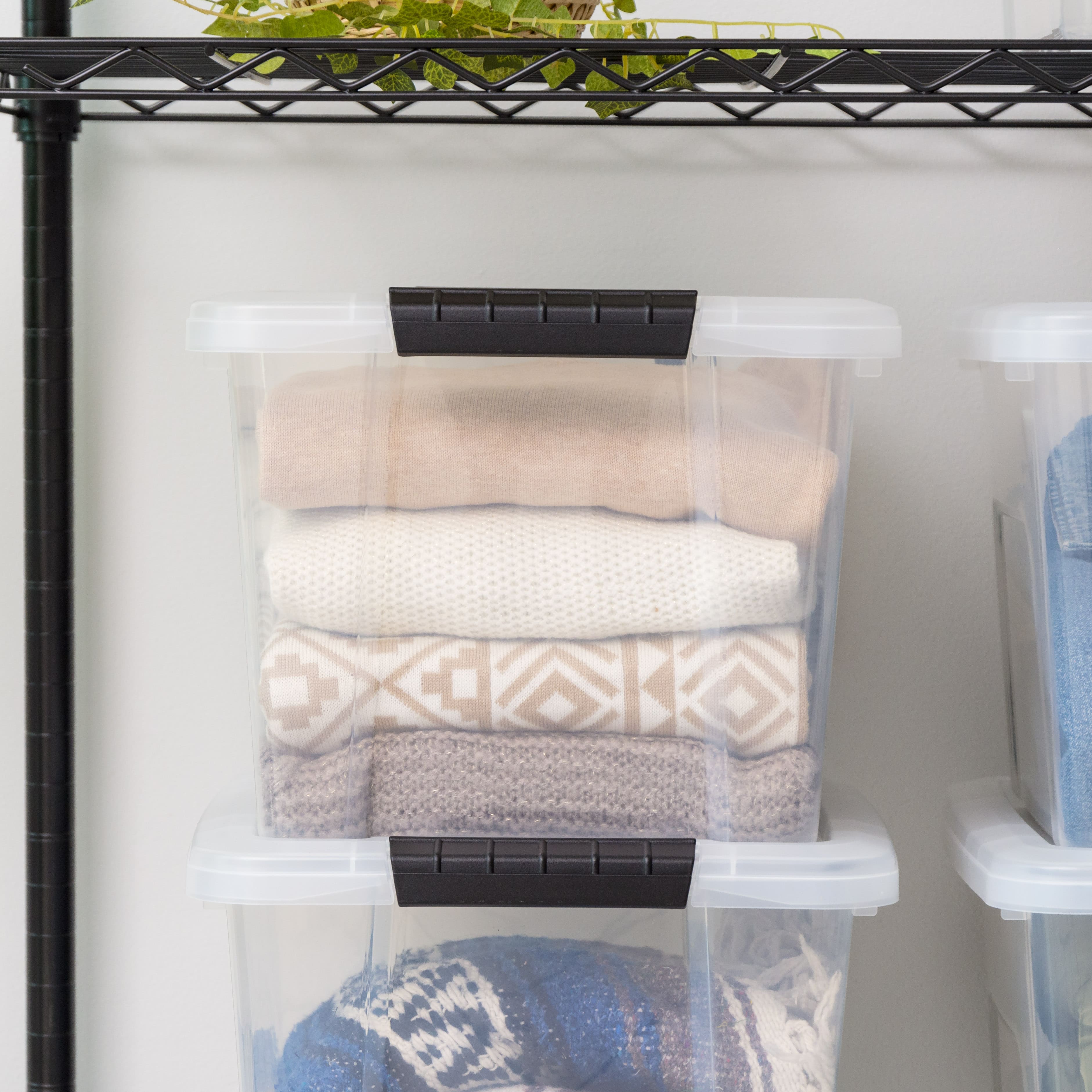 IRIS&#xAE; 20.5qt. Buckled Clear Boxes with Clear Buckle Lids, 6ct.