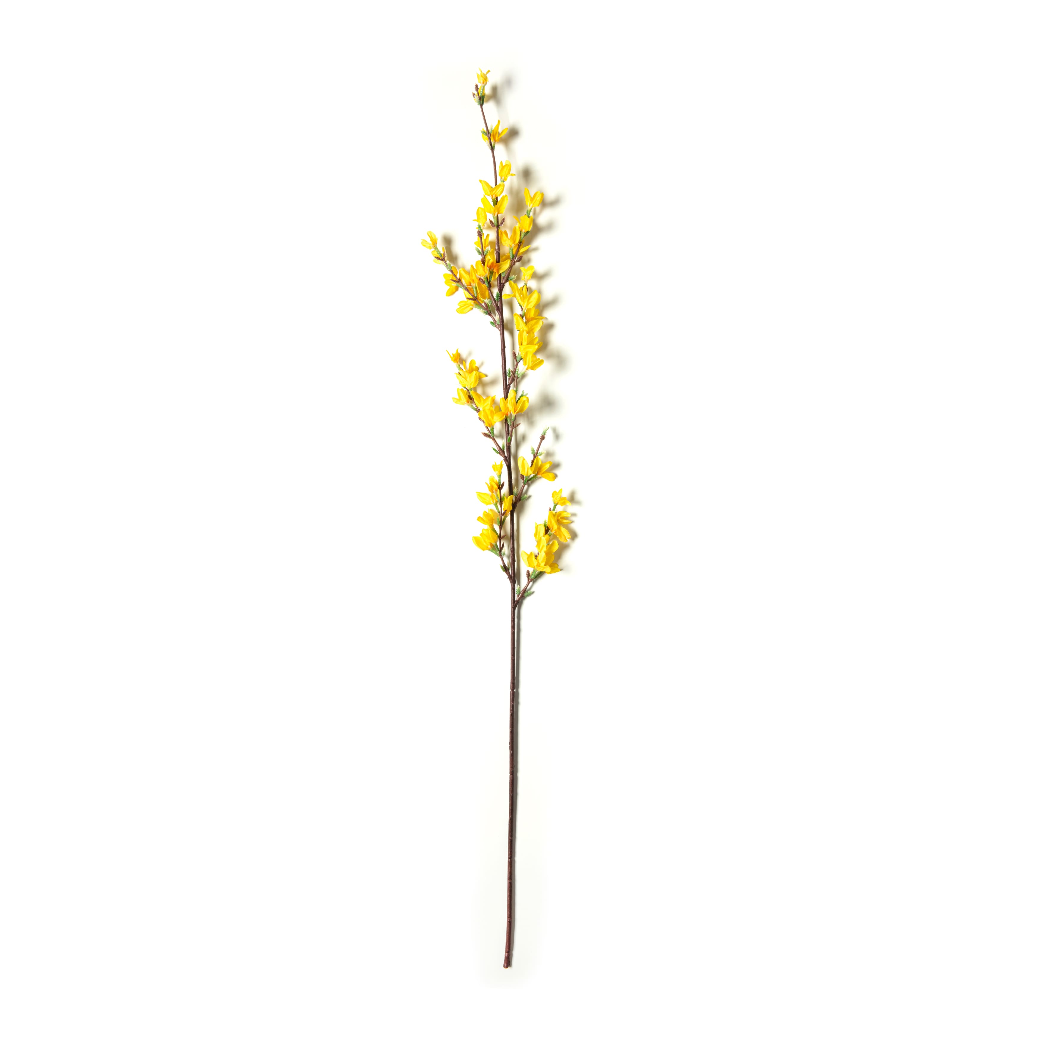 Forsythia Branch Floral Essentials by Ashland&#xAE;