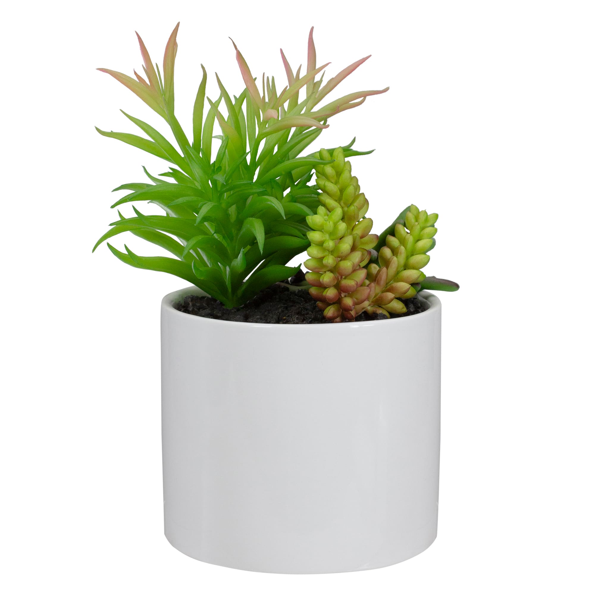 9" Succulent Arrangement in White Ceramic Pot