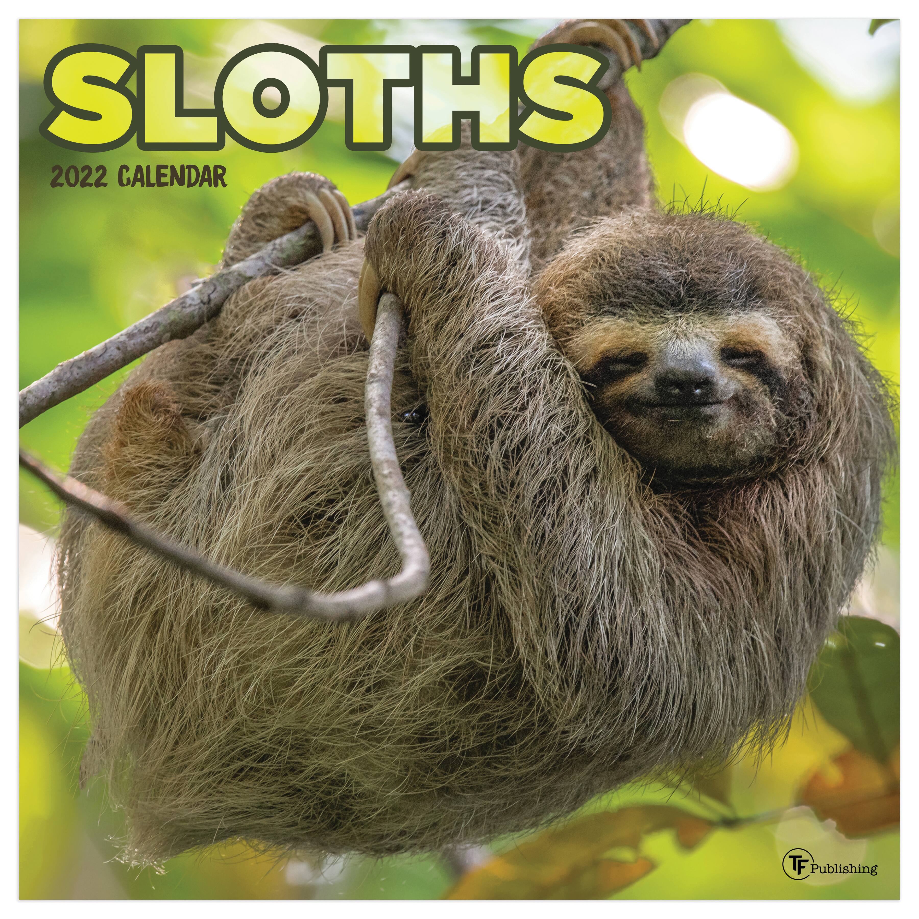 TF Publishing 2022 Sloths Wall Calendar | Michaels®