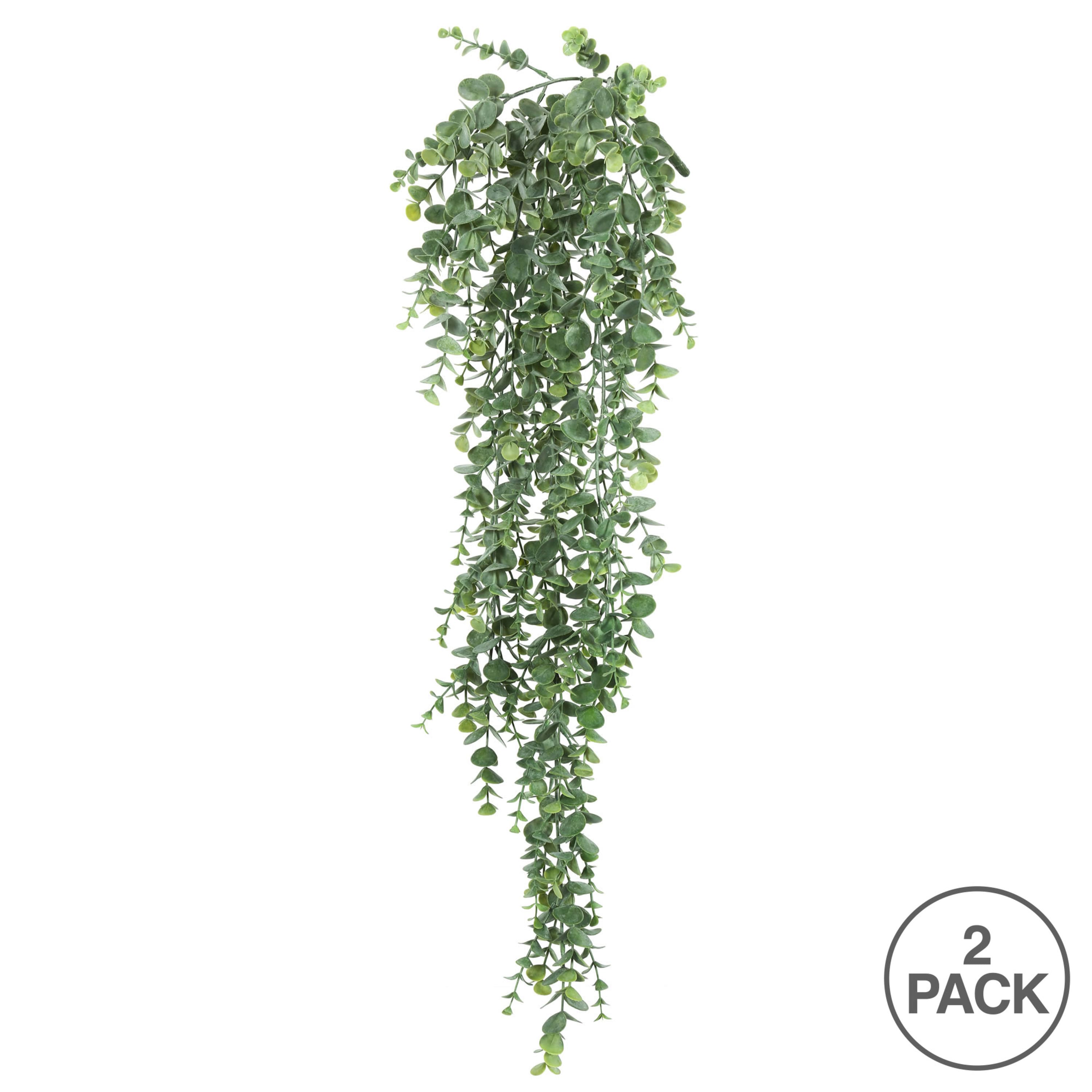 2.5ft. Green Hanging Mini Leaf Eucalyptus Bushes, 2ct.