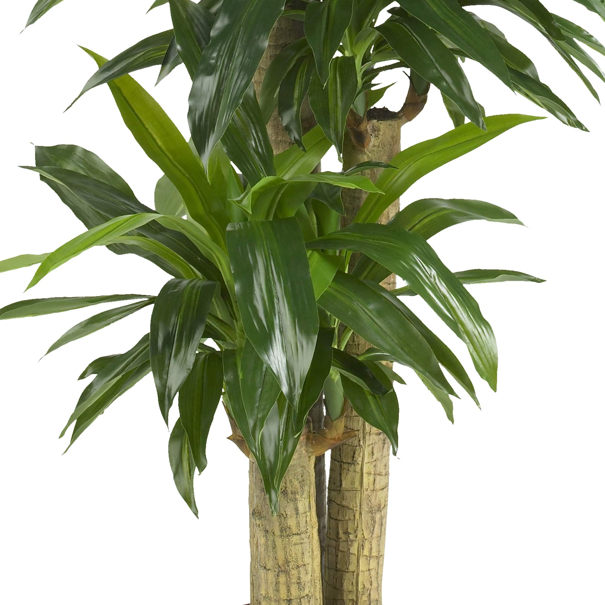 5ft. Corn Stalk Dracaena Silk Plant Michaels