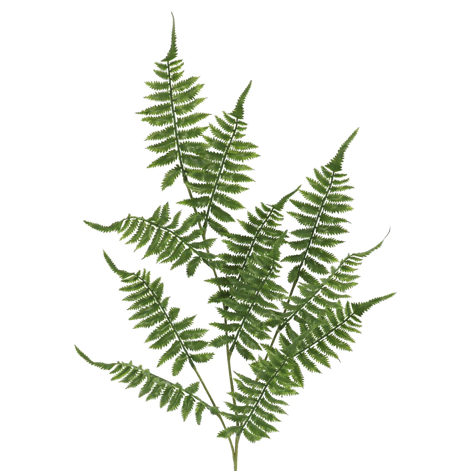 41&#x22; Fern Stem by Ashland&#xAE;