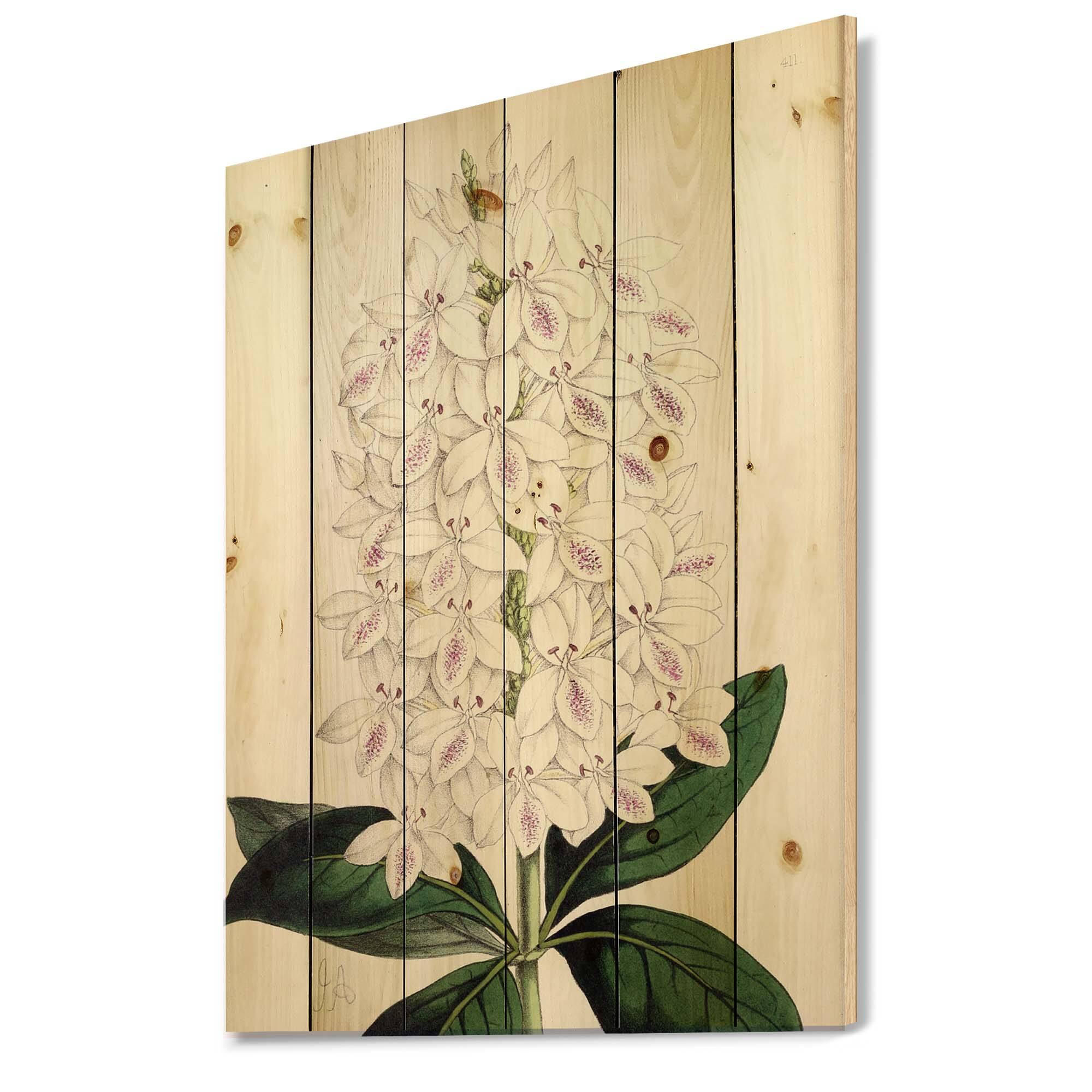 Designart - Vintage White Orchid III - Traditional Print on Natural Pine Wood