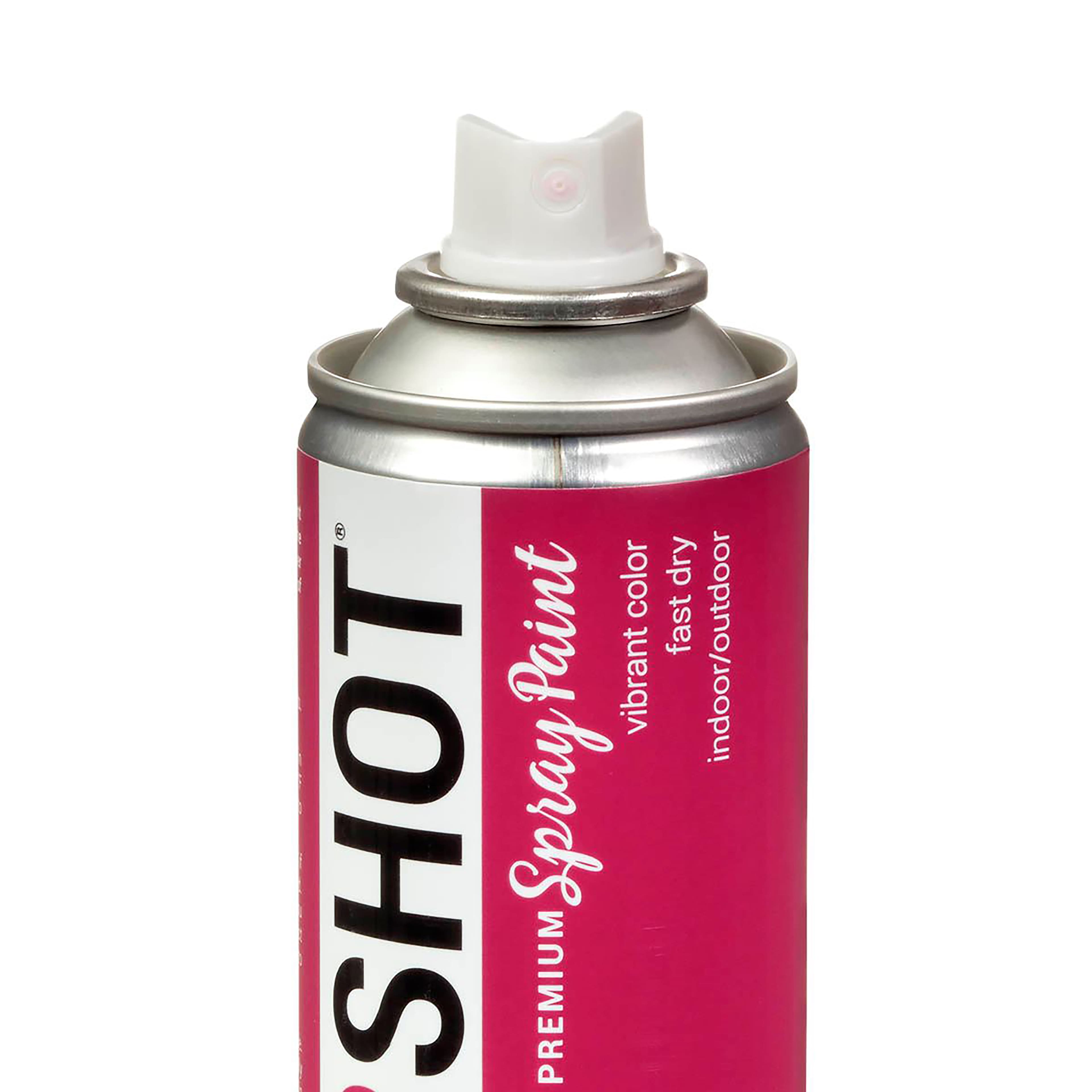 COLORSHOT&#xAE; Premium Gloss Spray Paint