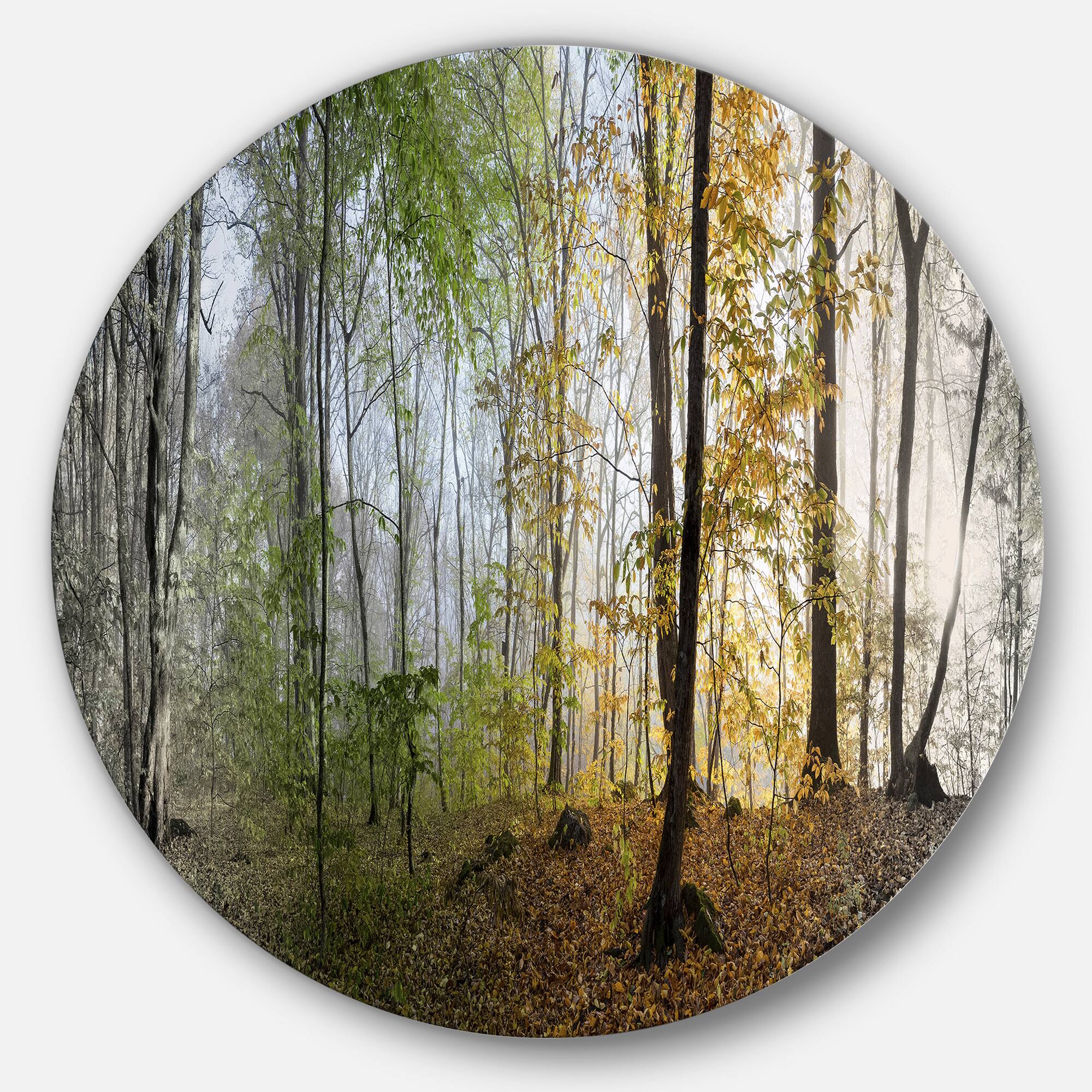 Designart - Morning Forest Panoramic View&#x27; Landscape Photography Circle Metal Wall Art