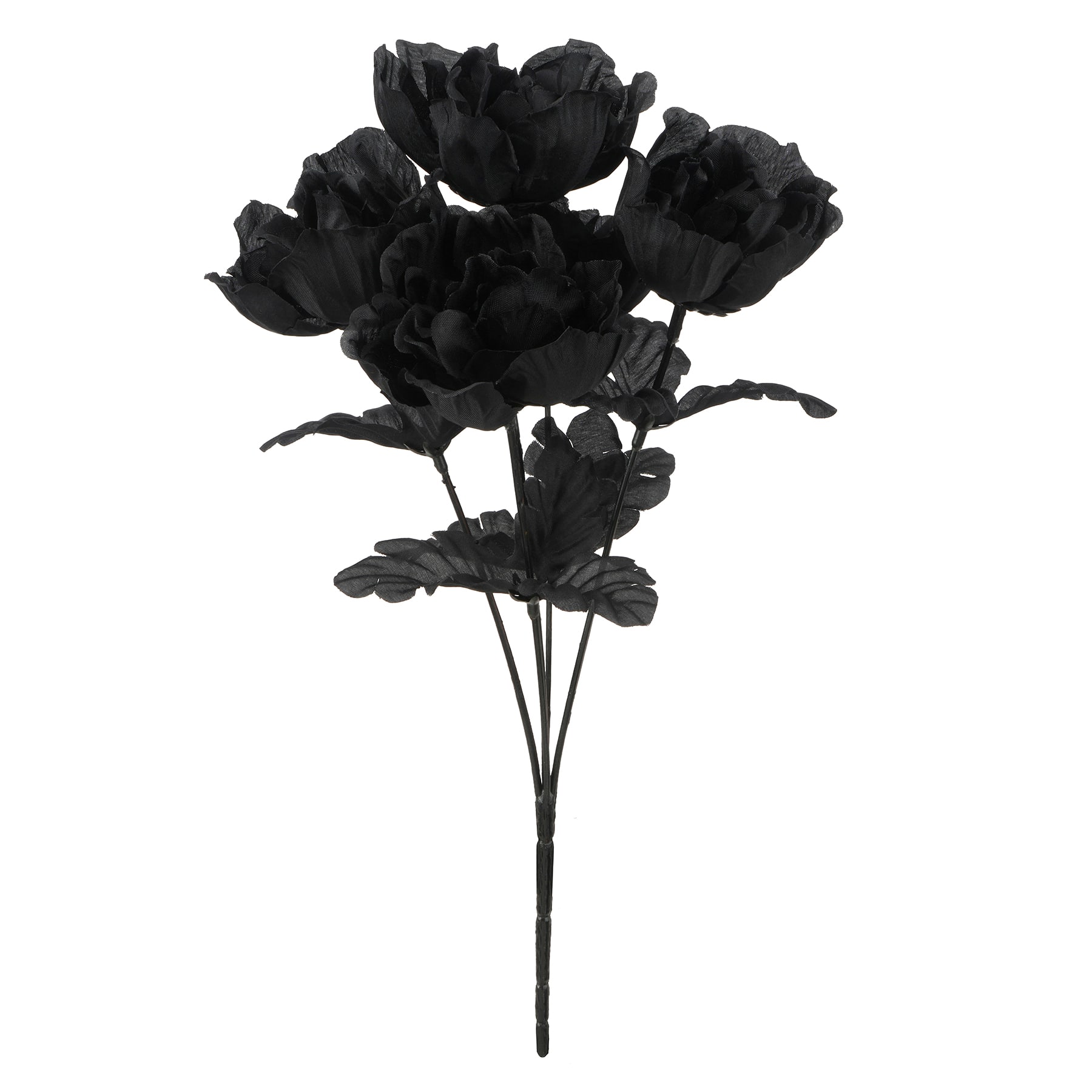Halloween Peony Bush by Ashland&#xAE;