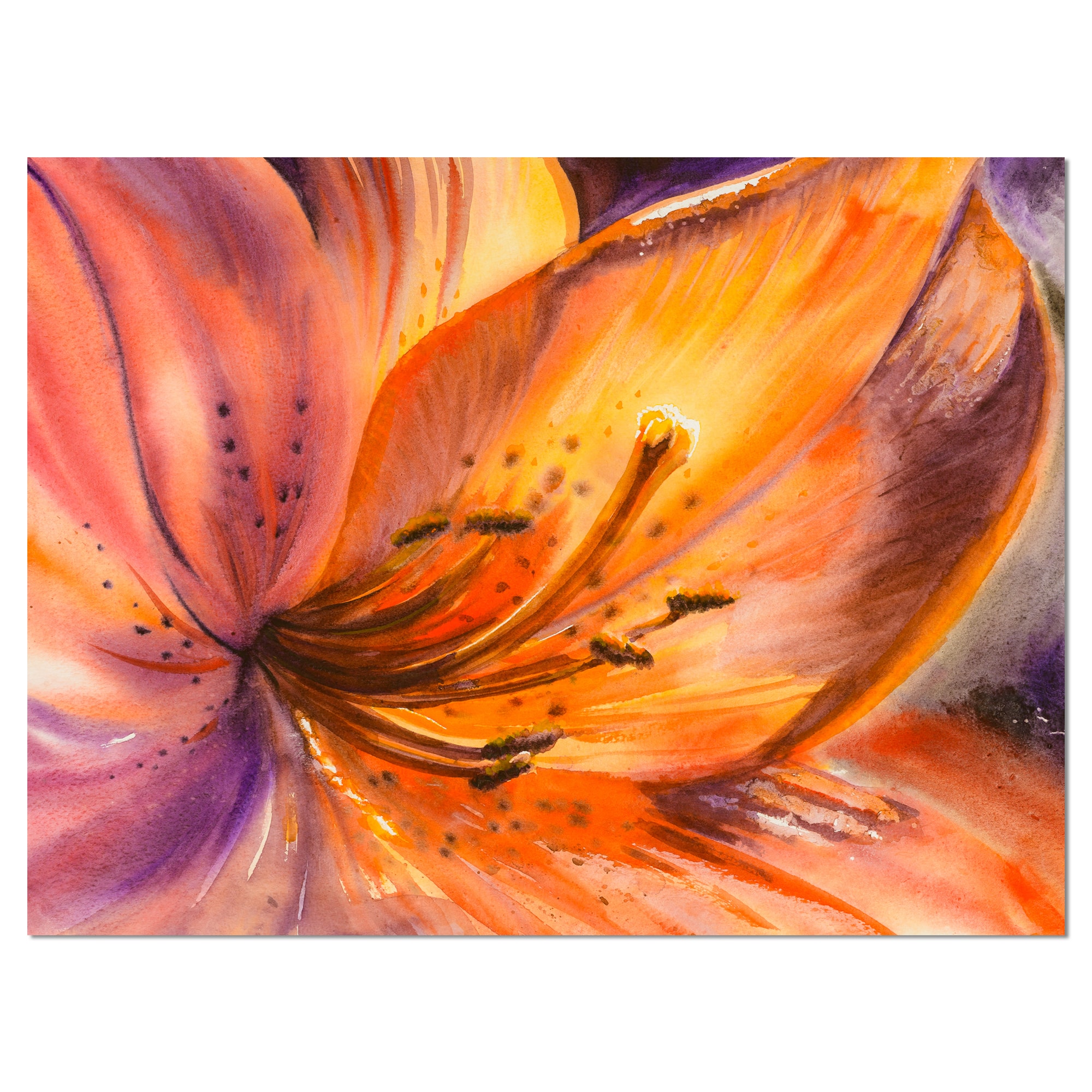 Designart - Orange Lily Flower